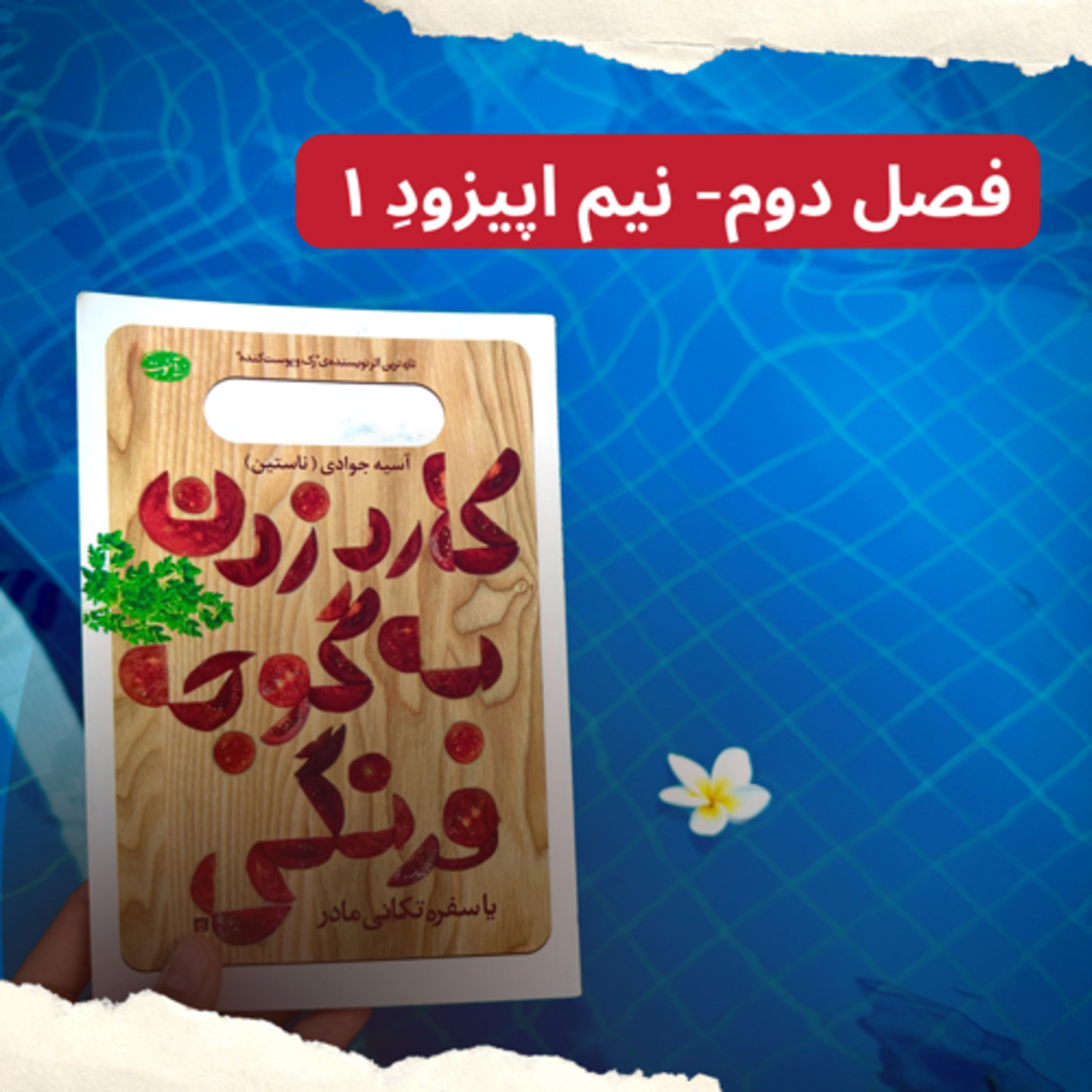 نیم اپیزودِ ۱ - این یک مقدمه نیست episode artwork