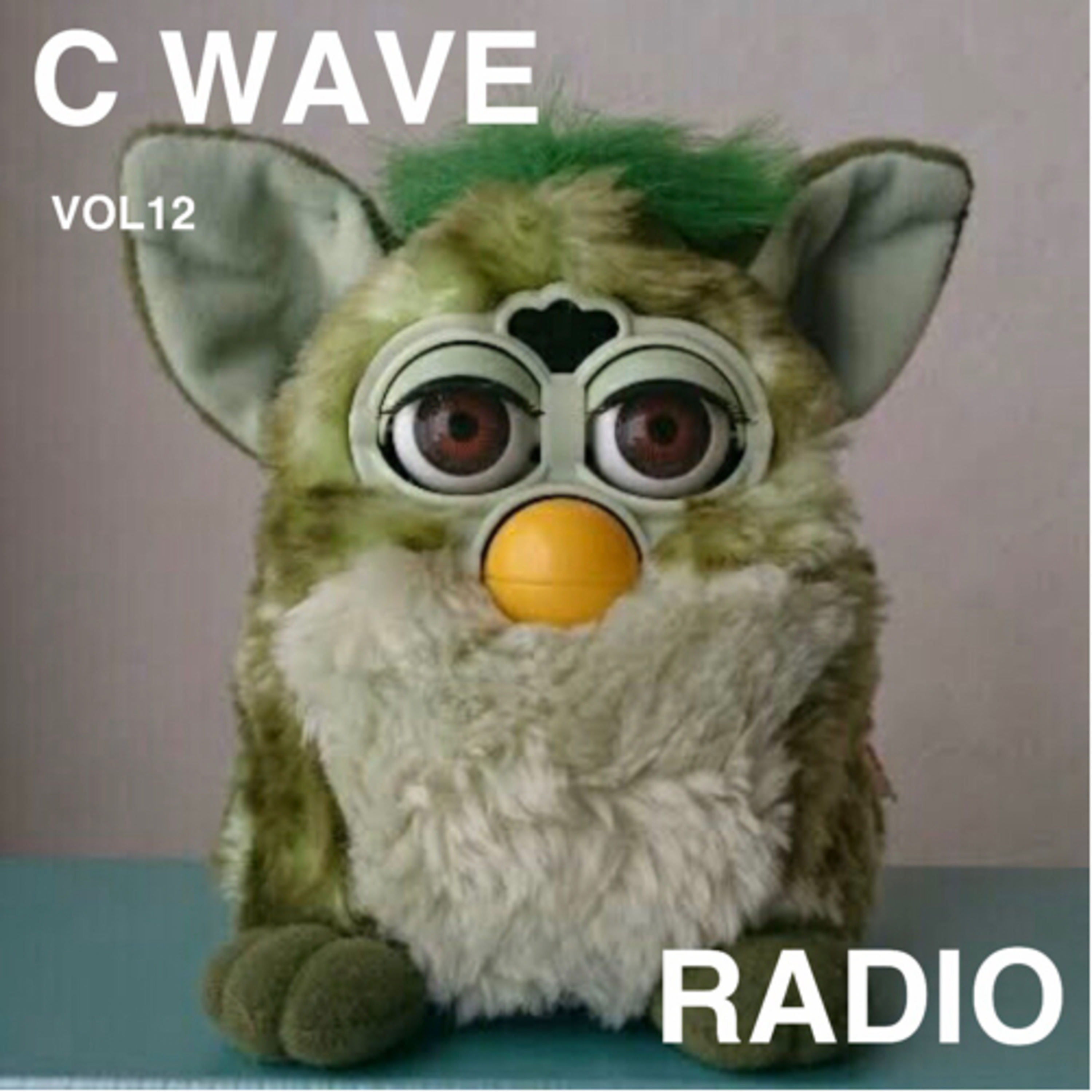 C-WAVE vol.12 「TOY」