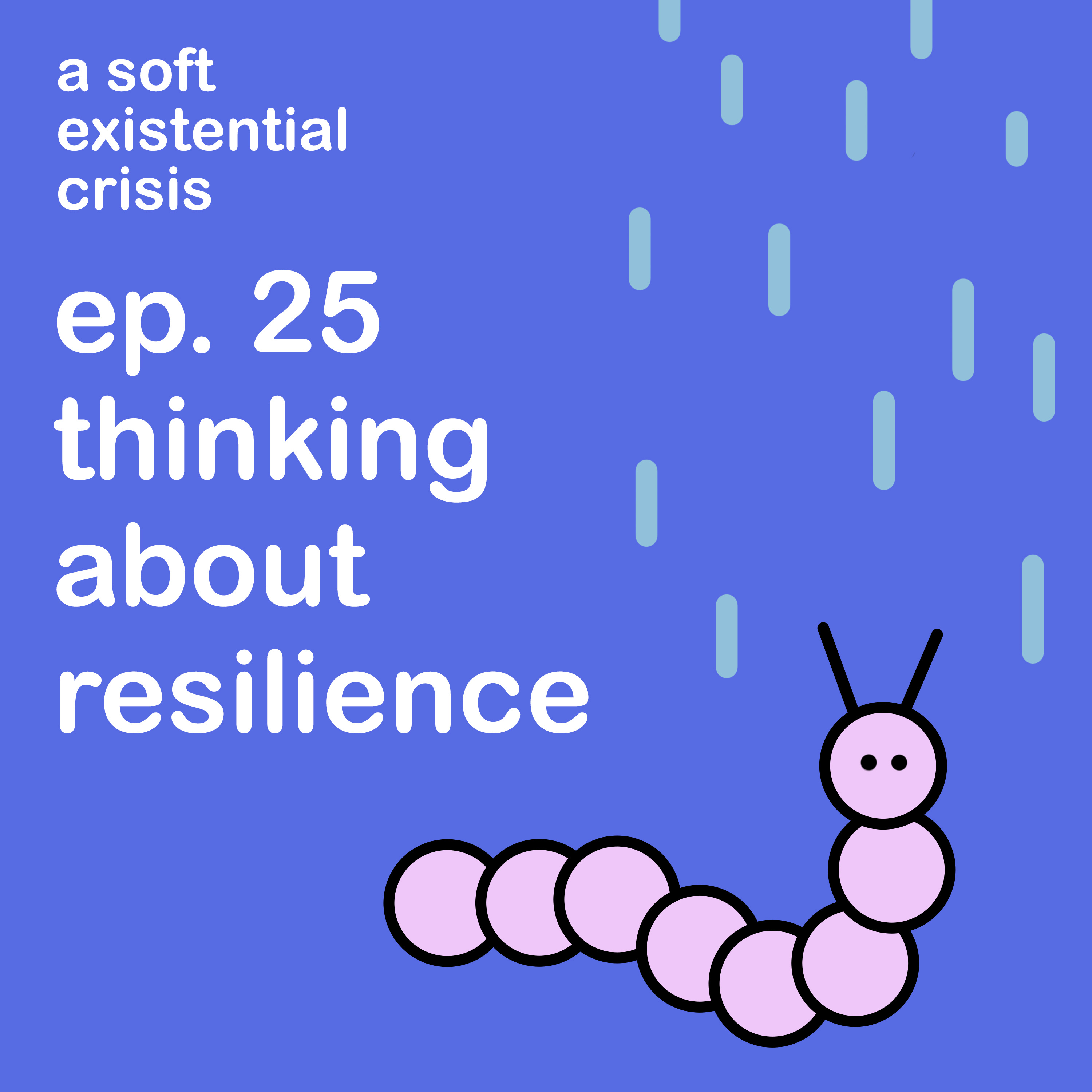 Episode 25 - Thinking About Resilience episode artwork