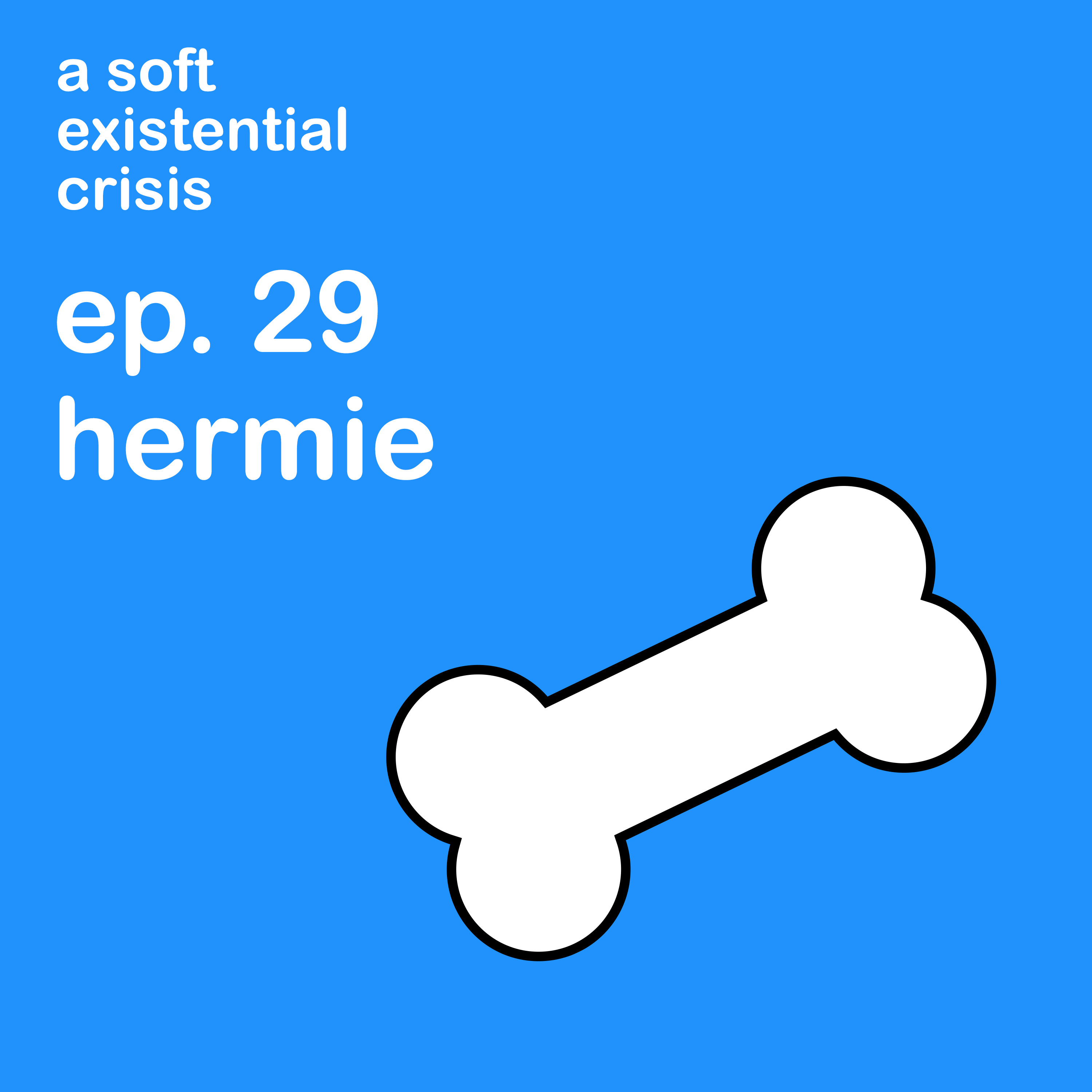 Episode 29 - Hermie episode artwork