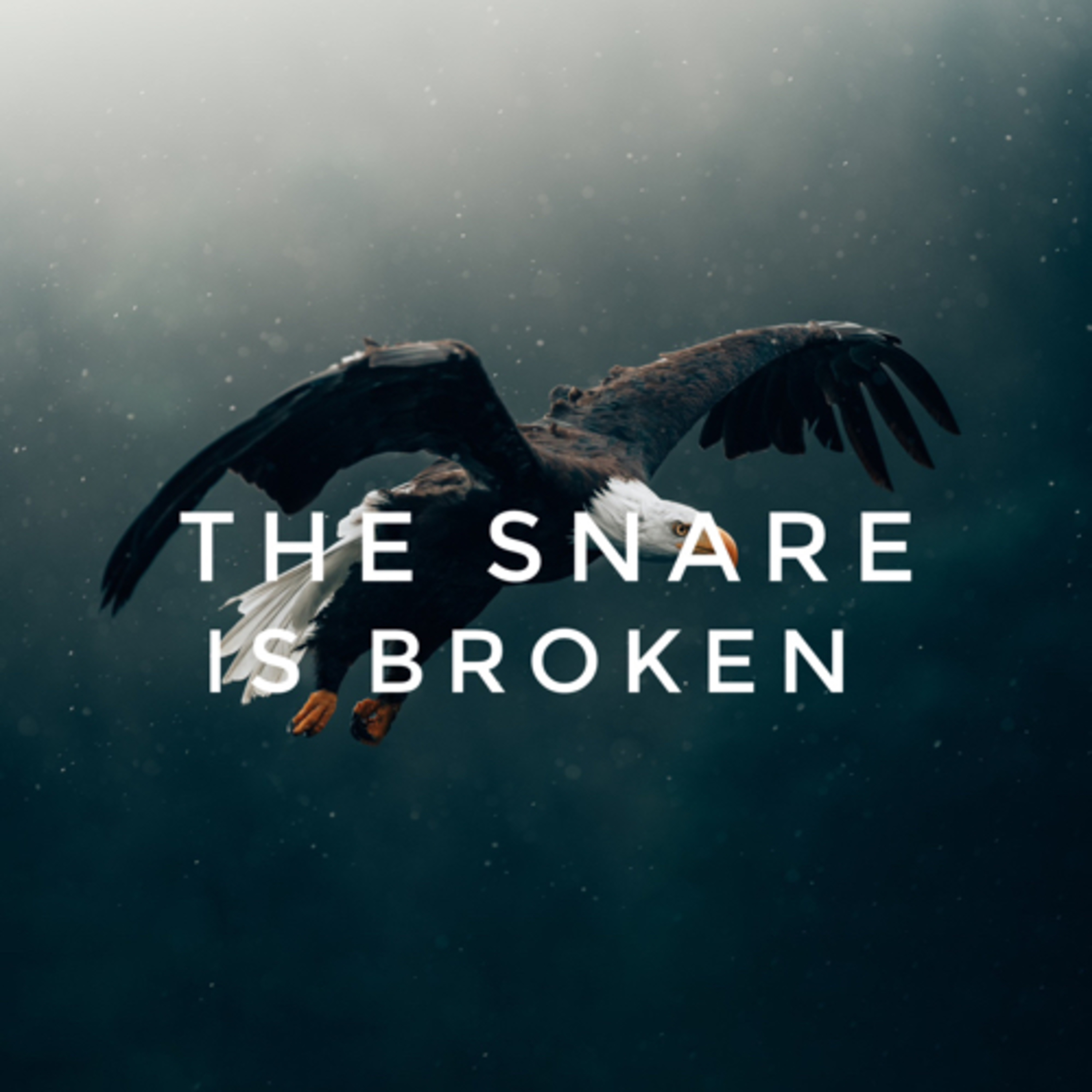 Beech Bluff Pentecostal Church