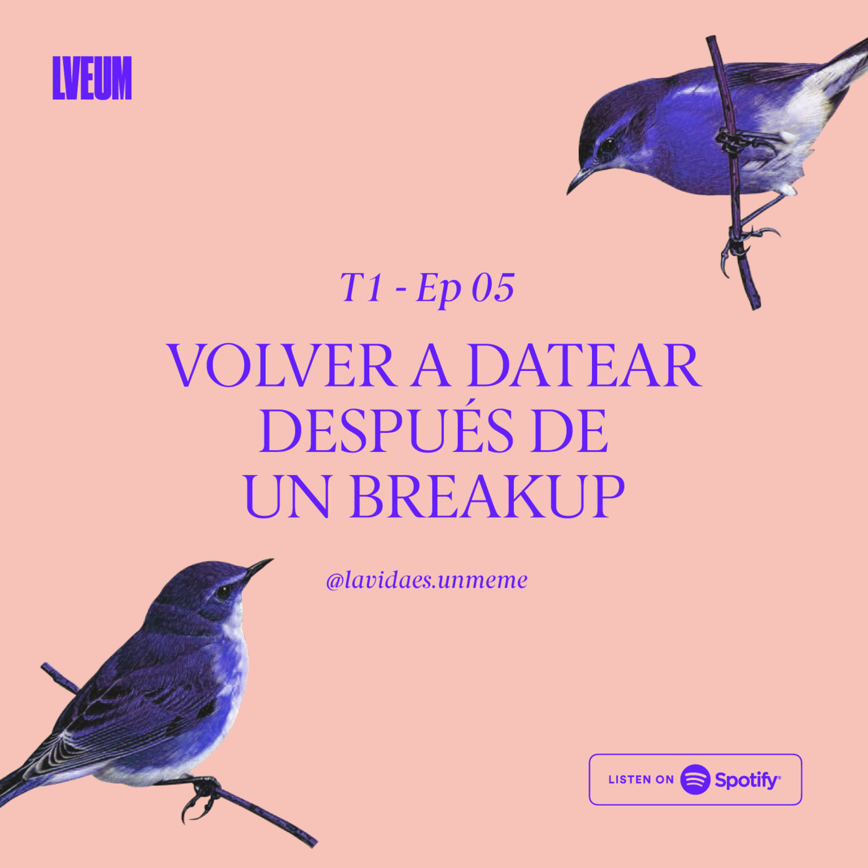La Vida Es Un Meme