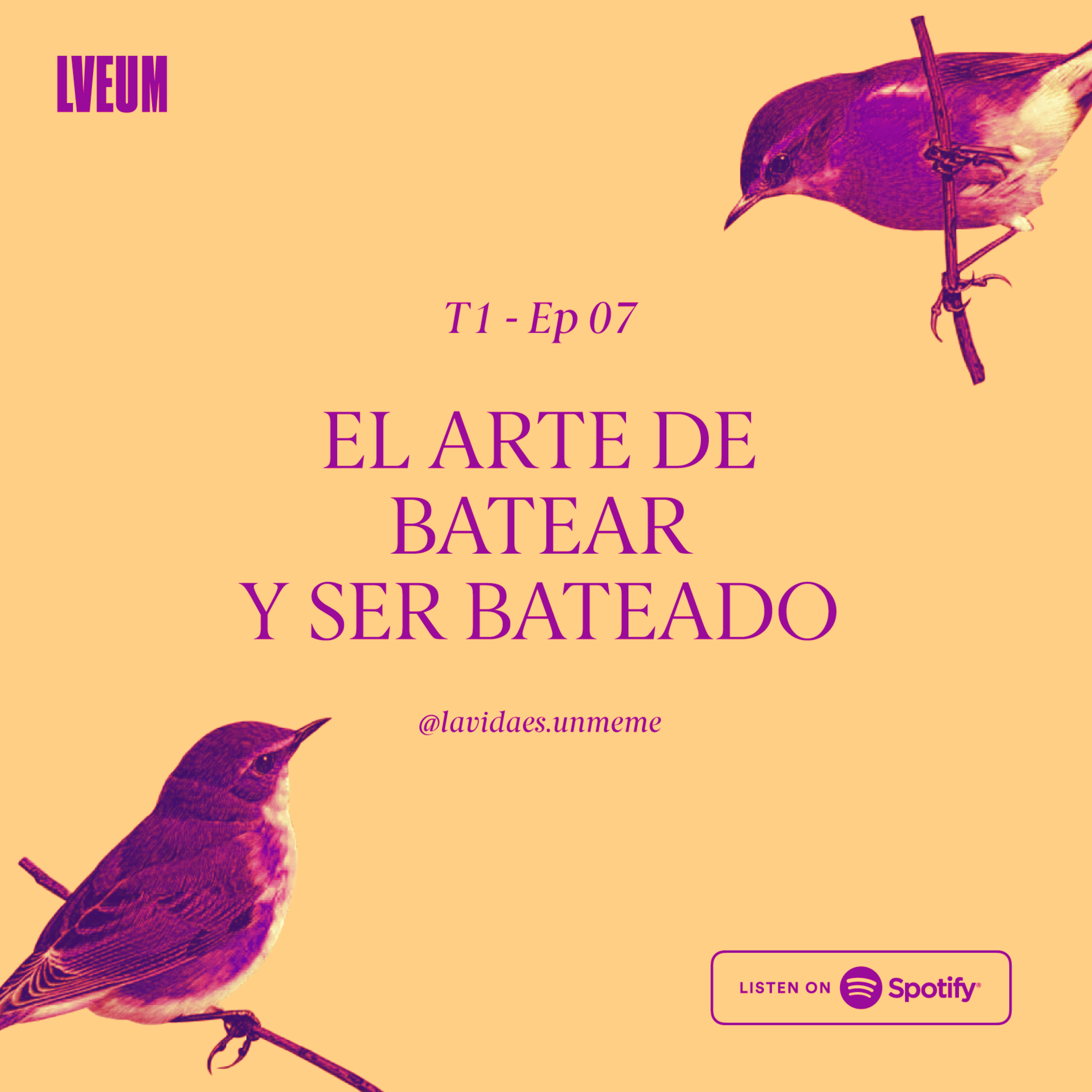 La Vida Es Un Meme