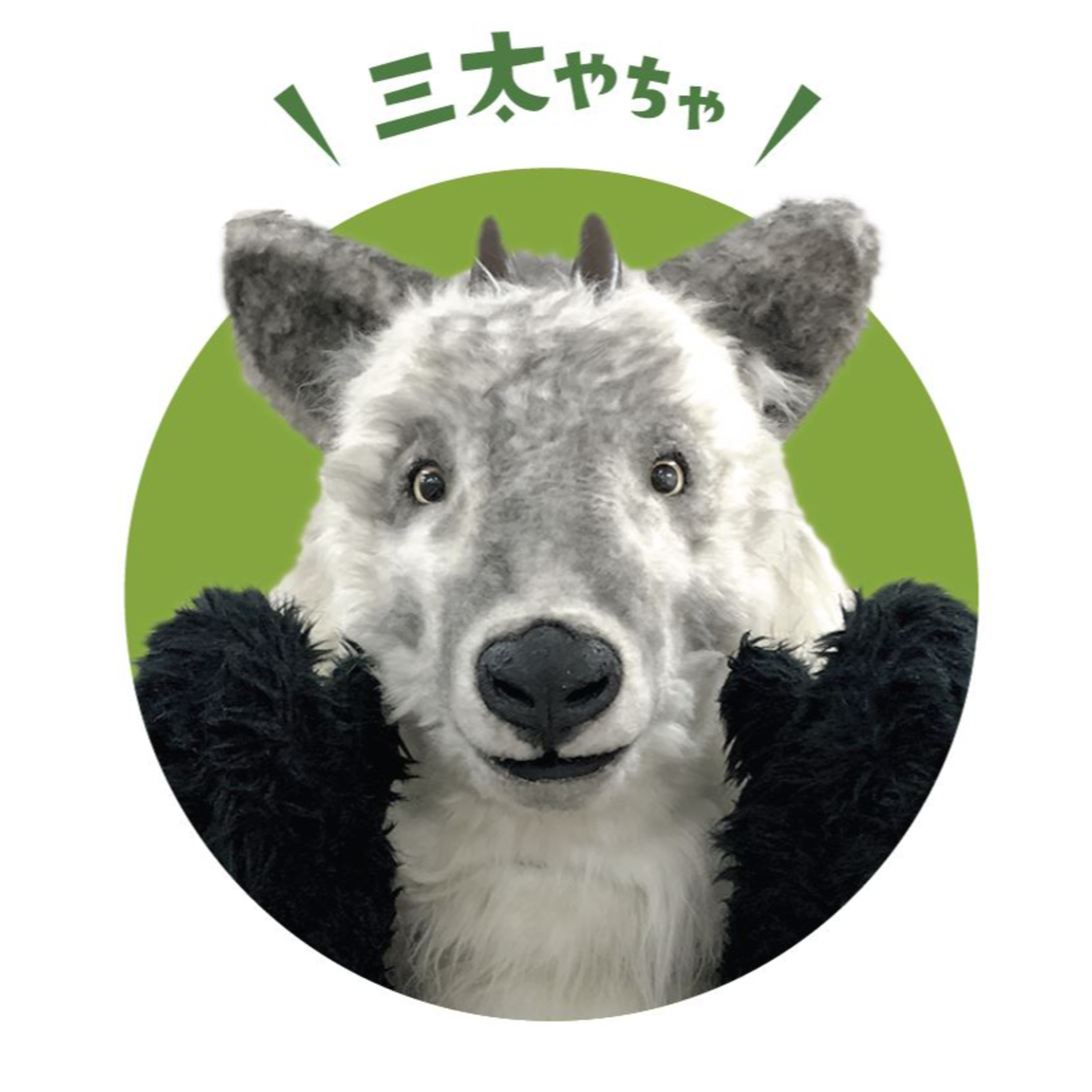 カミラジ ショートVer. 三太くんのプロフィール episode artwork