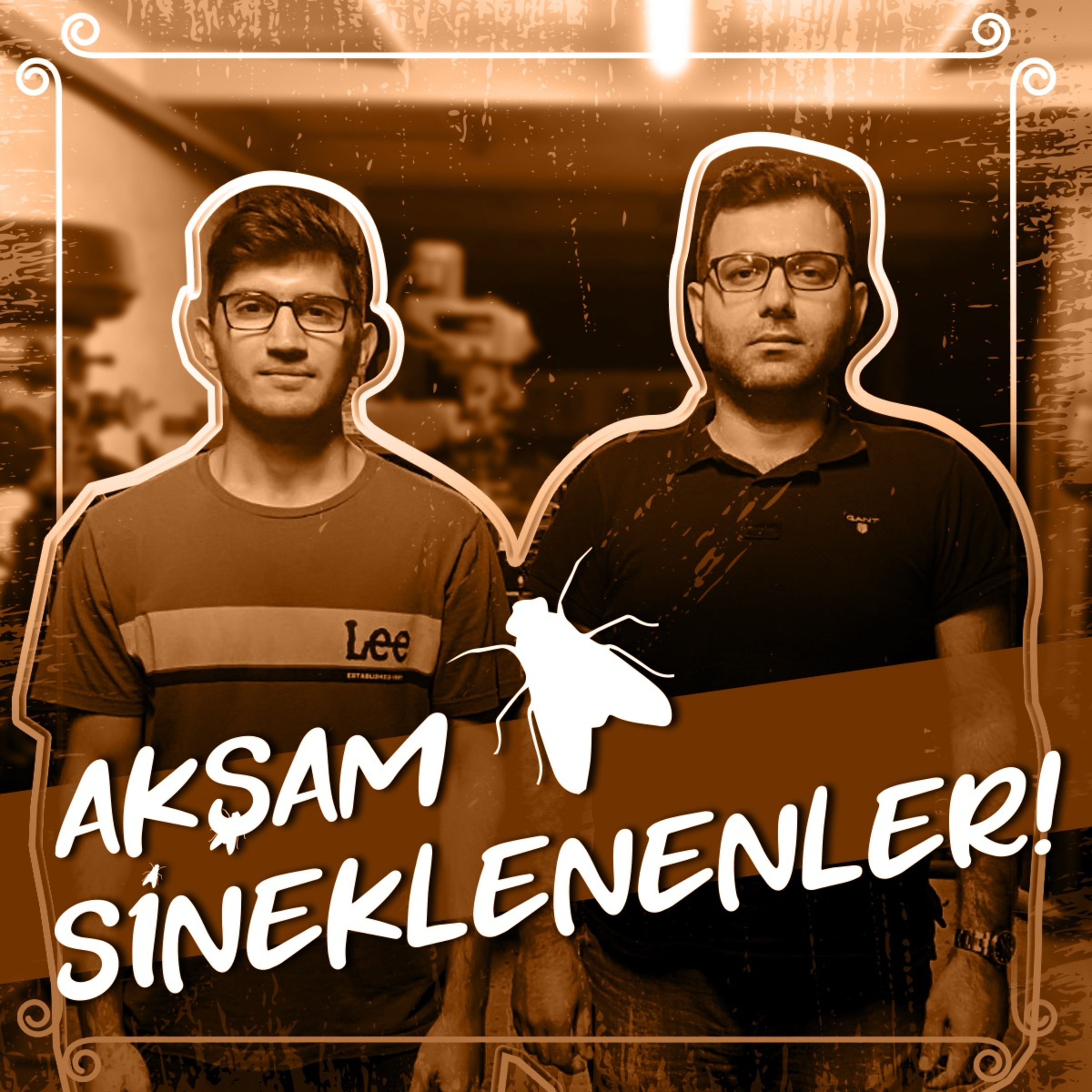 Akşam Sineklenenler