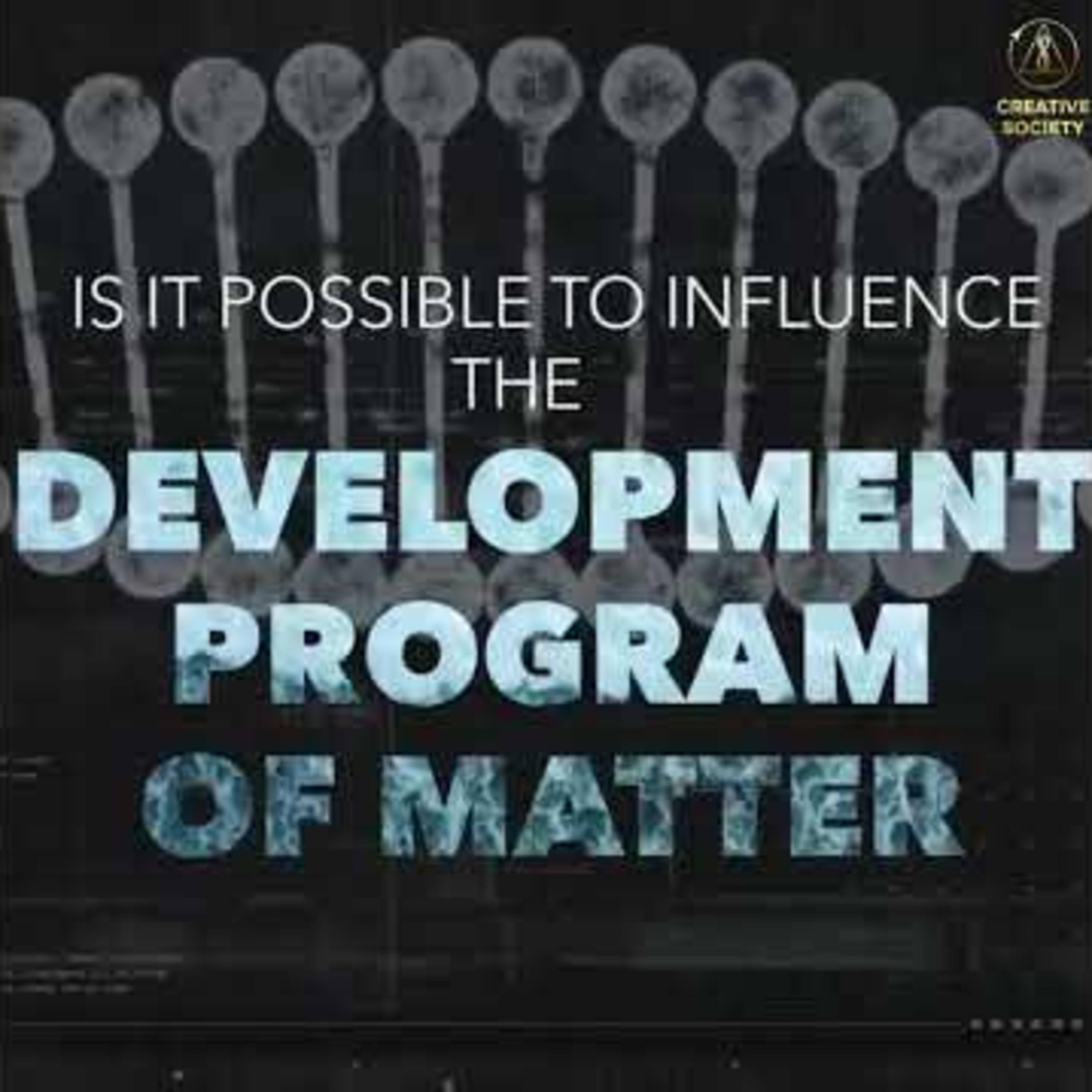 Development Program of Matter. Part 1 #matter #development #shorts episode artwork