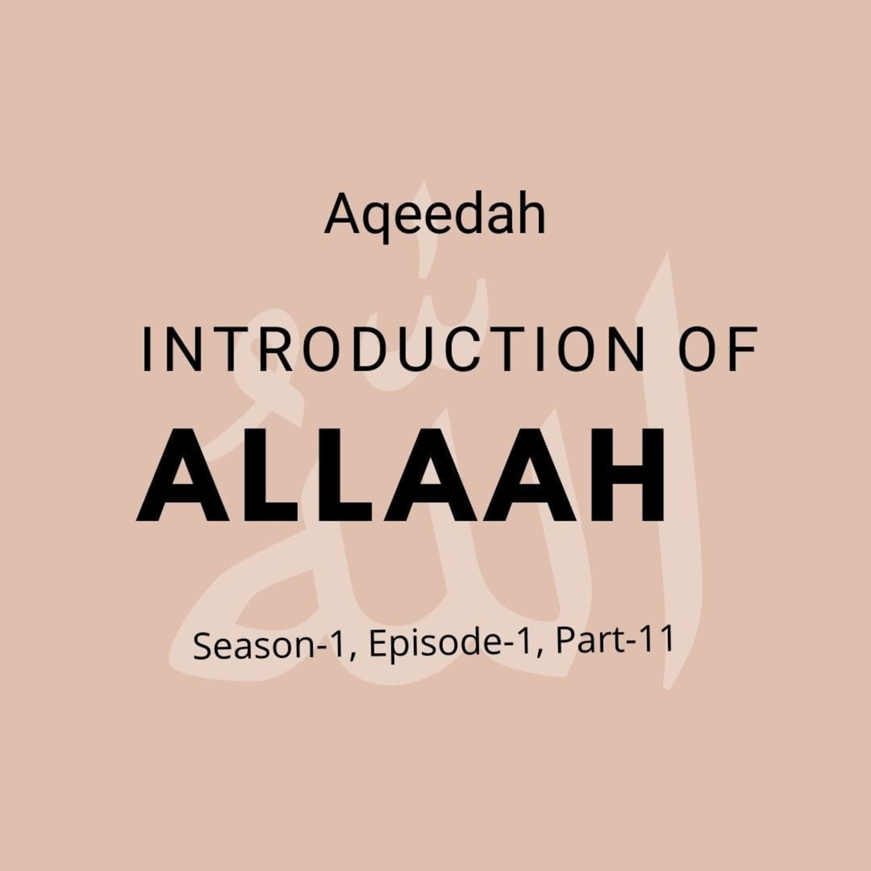 Islamic Studies for Children