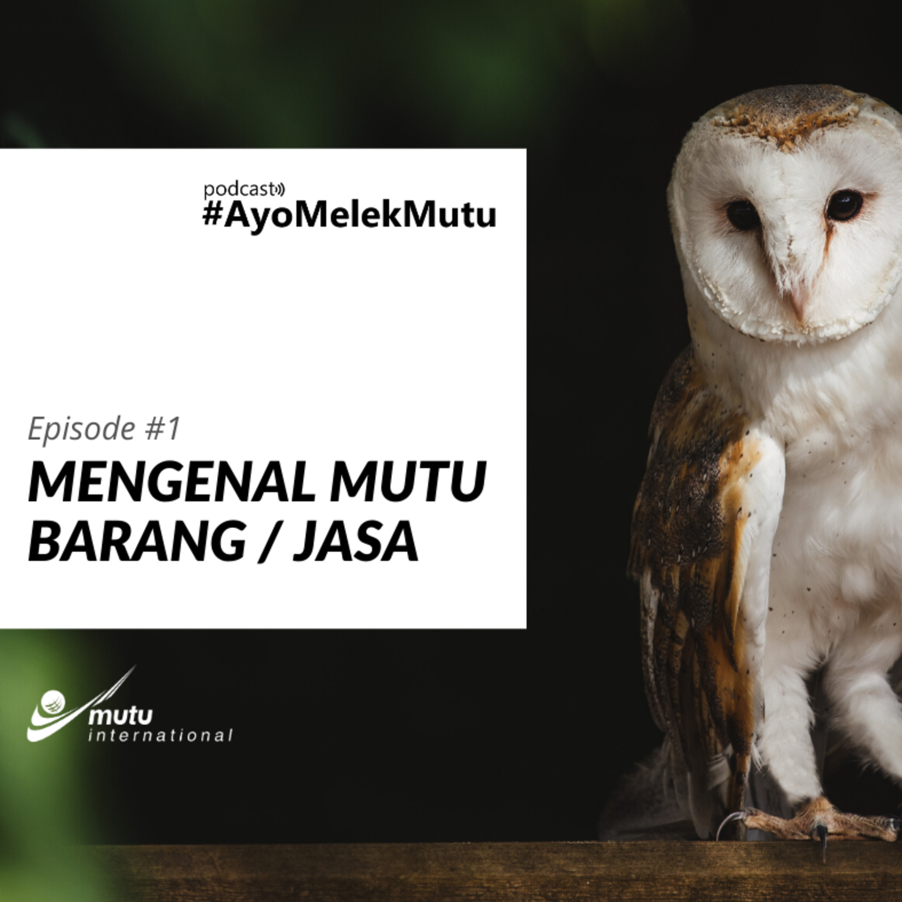 Podcast #AyoMelekMutu