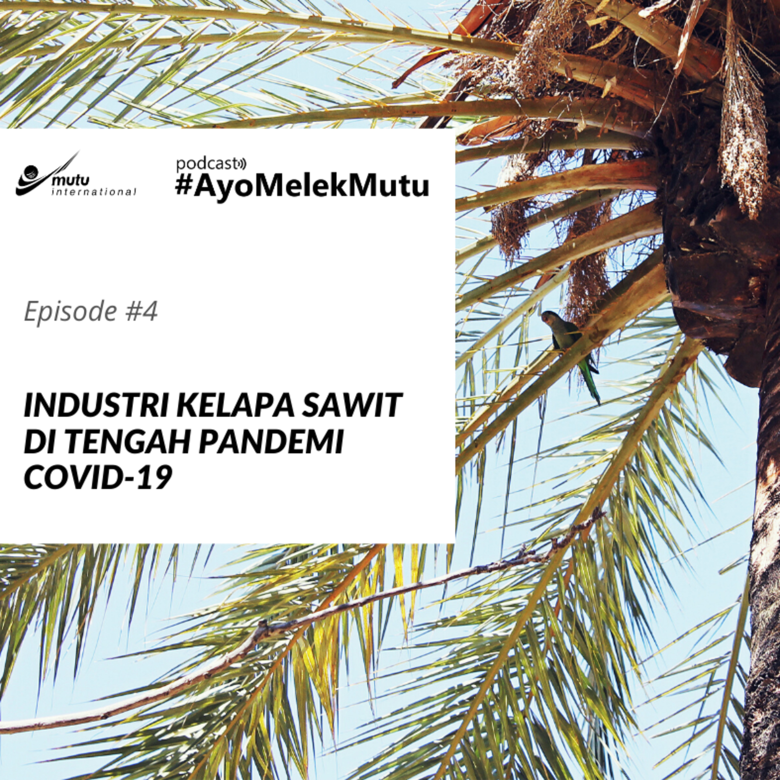 Podcast #AyoMelekMutu