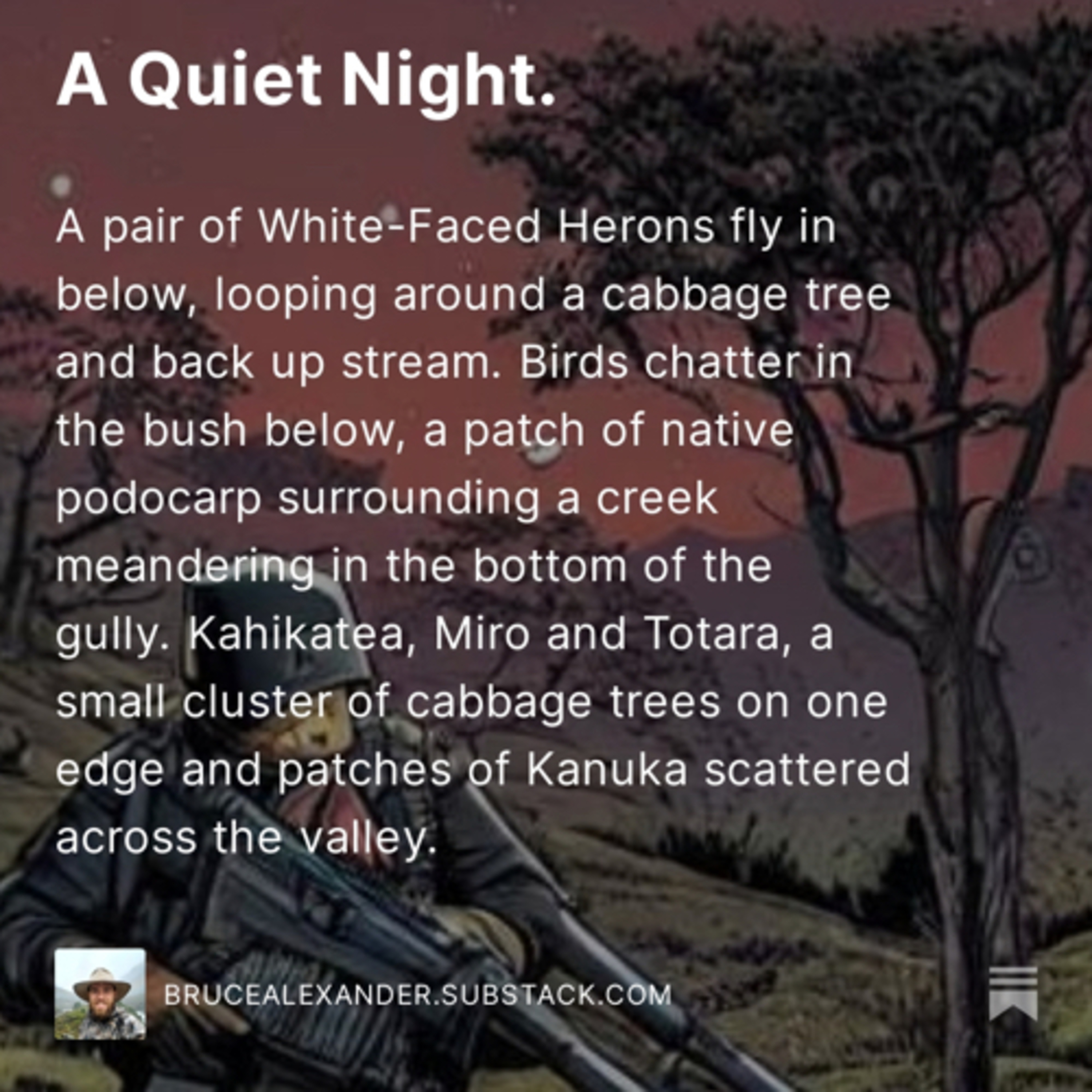Bruce’s Yarns- A Quiet Night