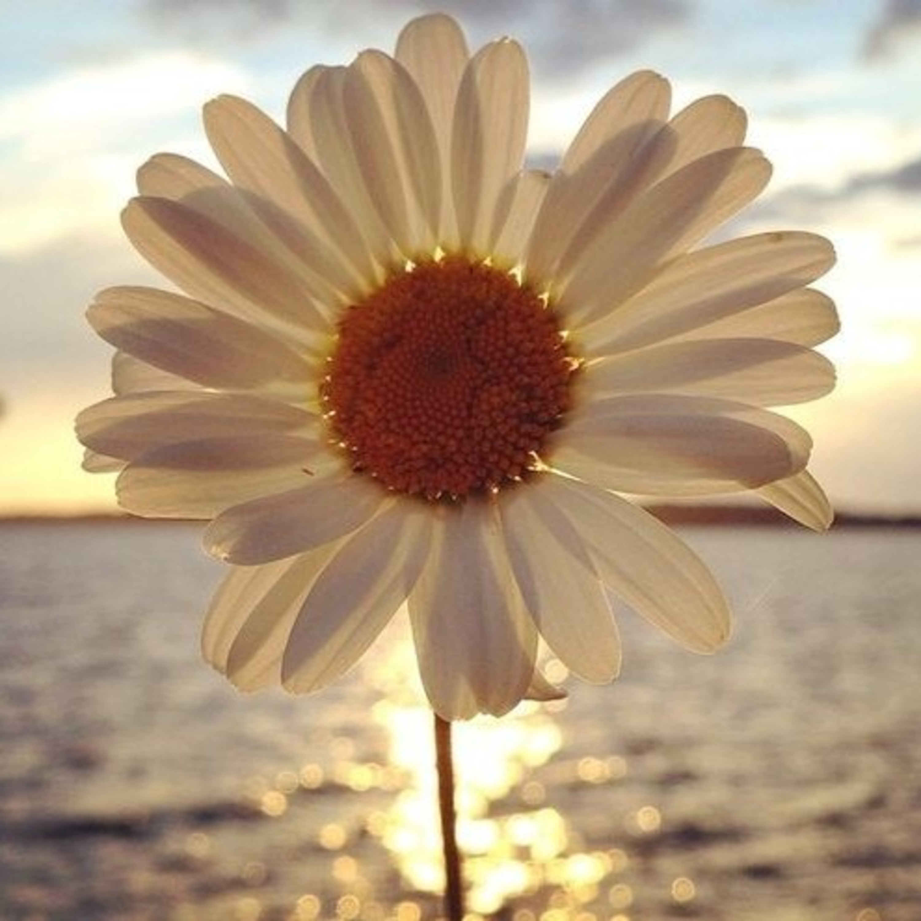 GOD LOVES YOU