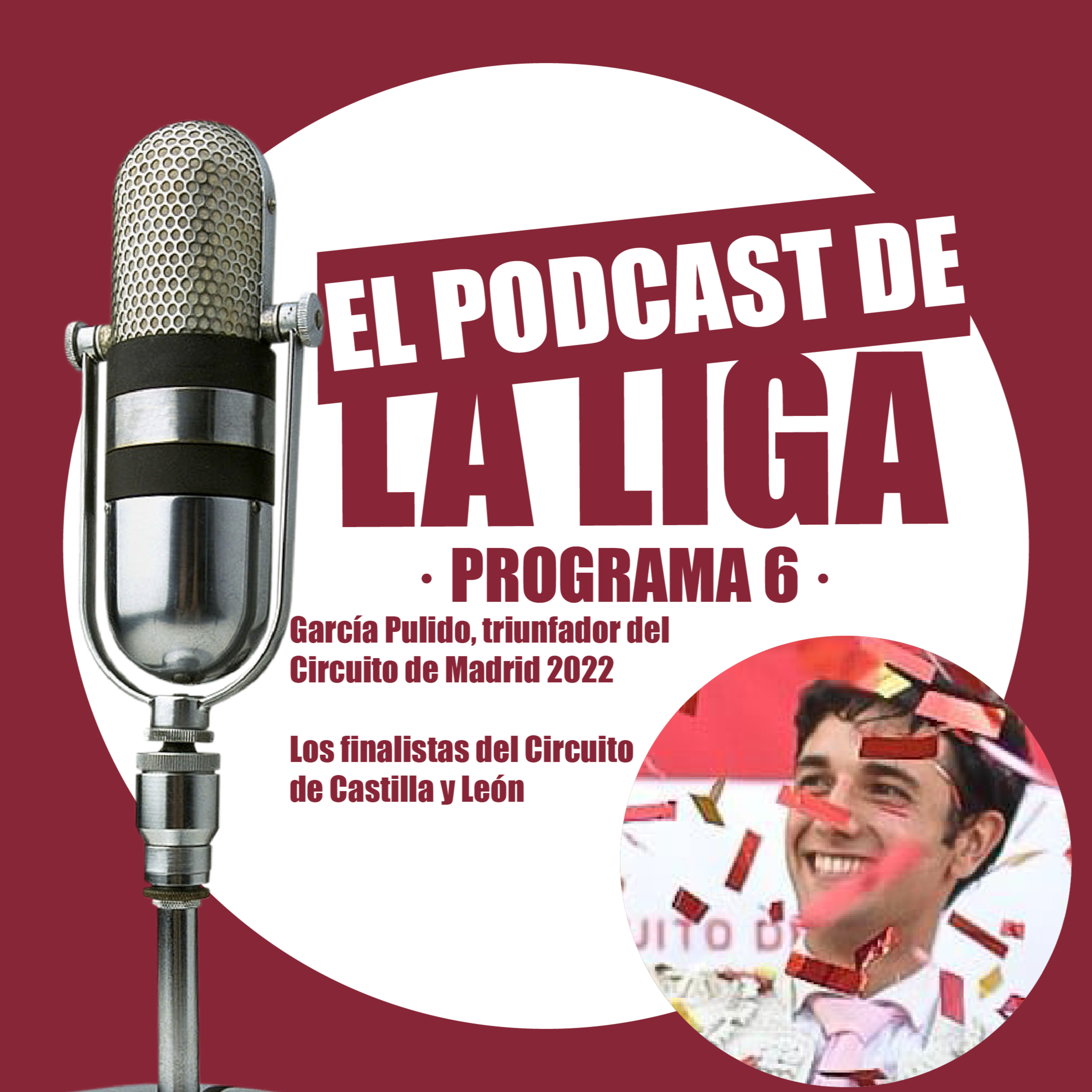 Liga Nacional de Novilladas