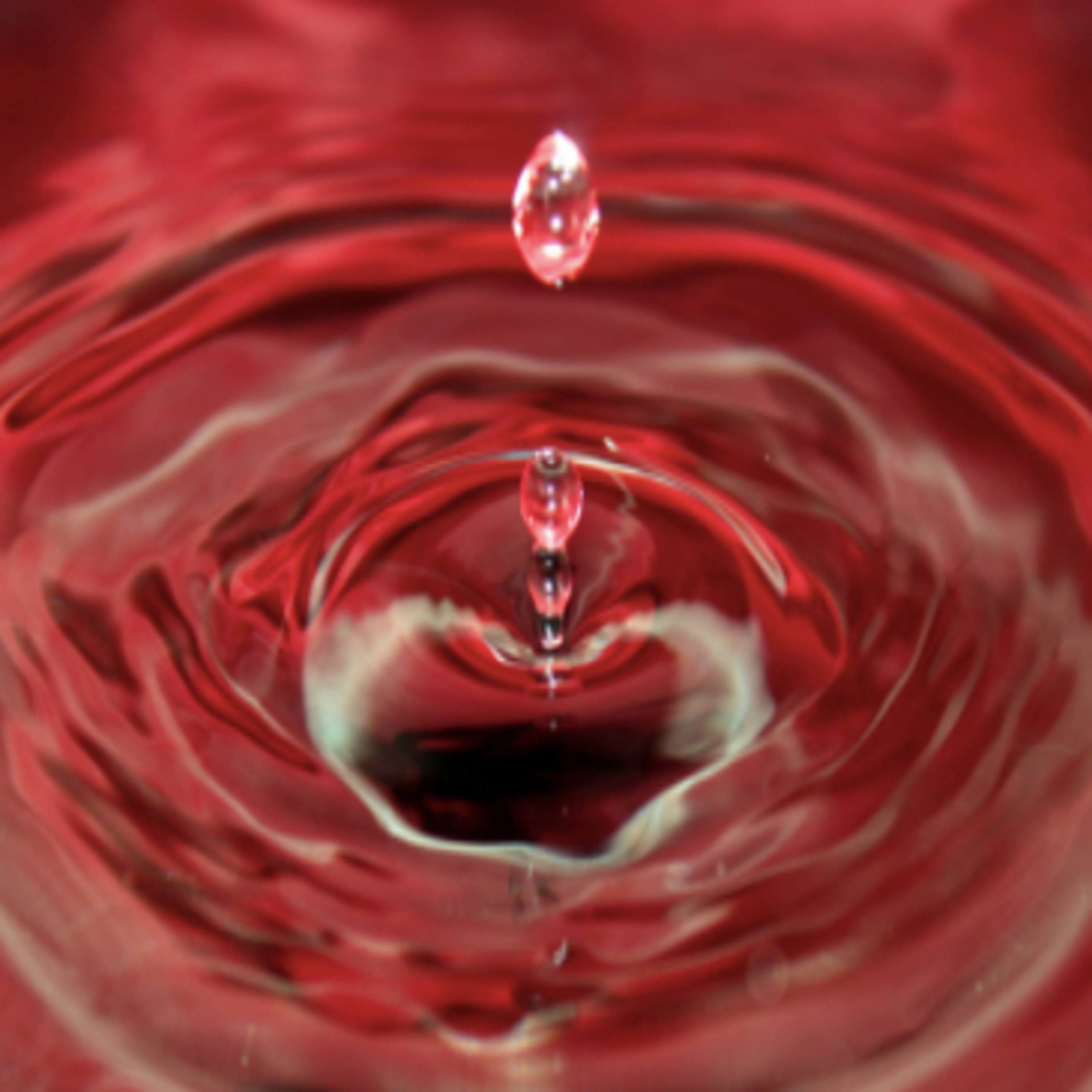 Middle School Mysteries: The Series