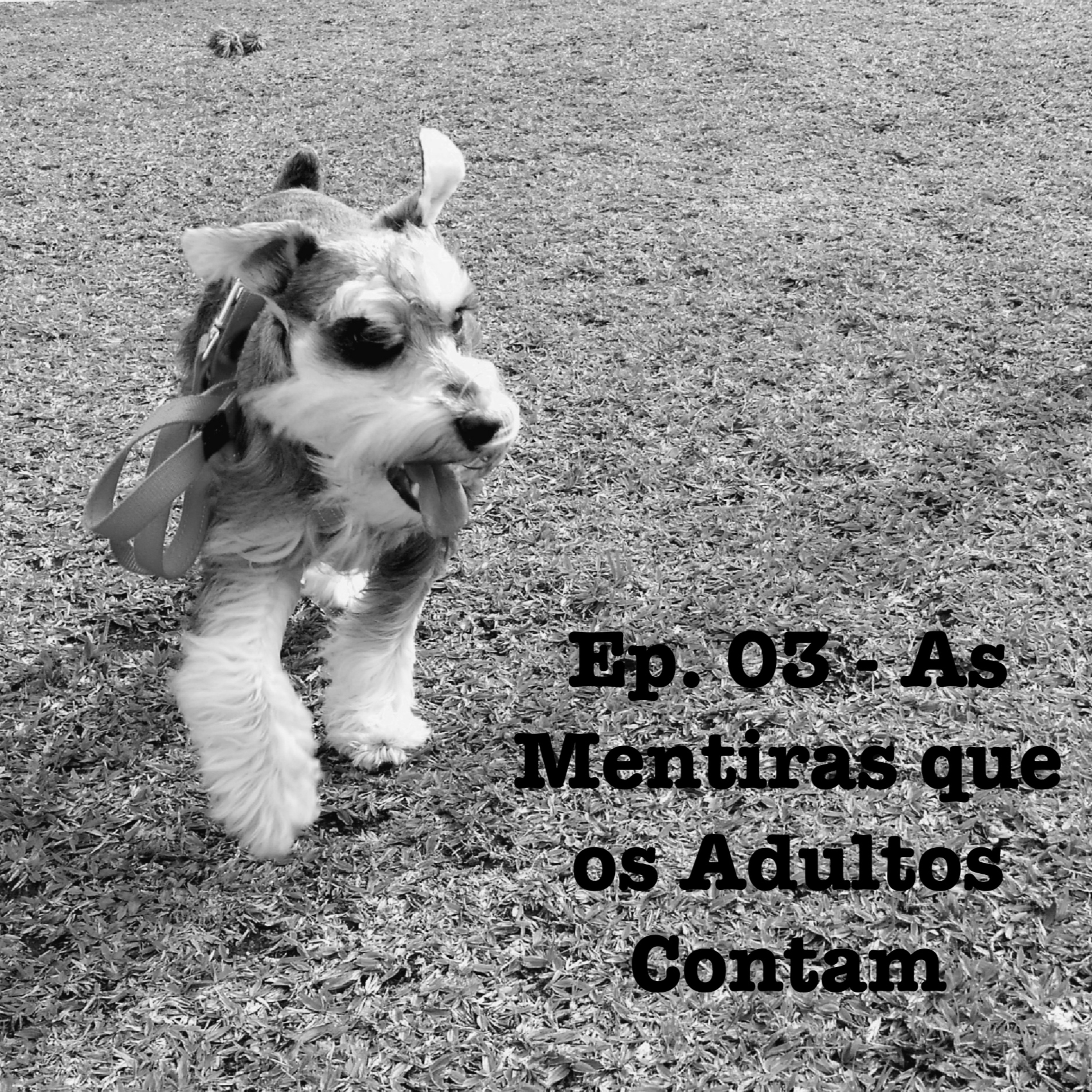 O Guia Prático Para Adultos Sem Prática