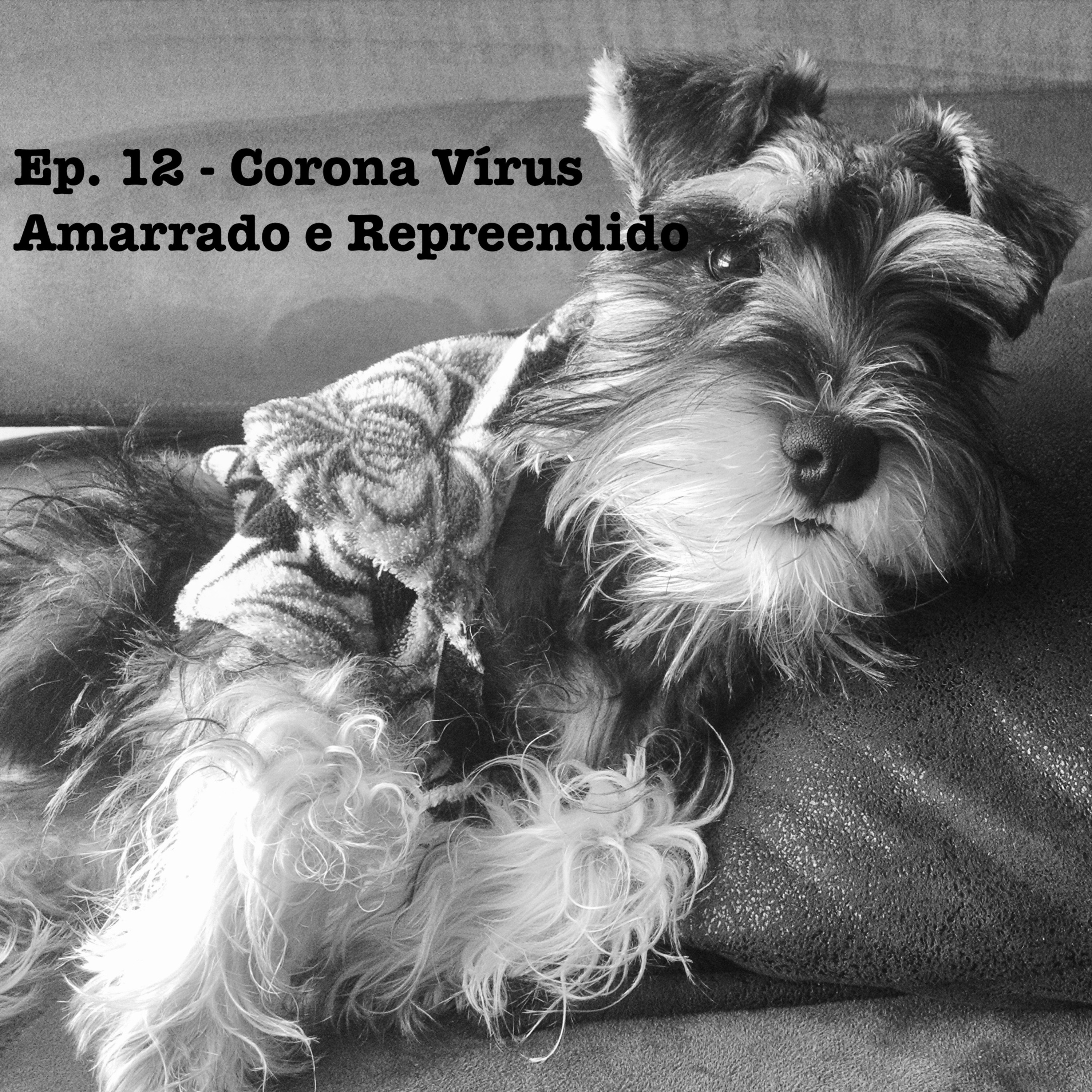 O Guia Prático Para Adultos Sem Prática