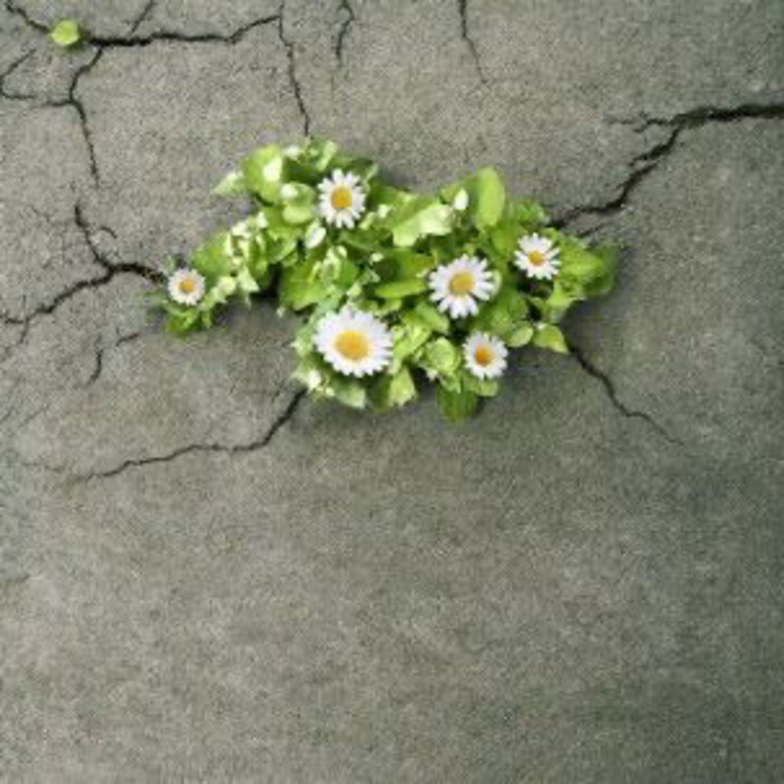 Vita in te ci credo