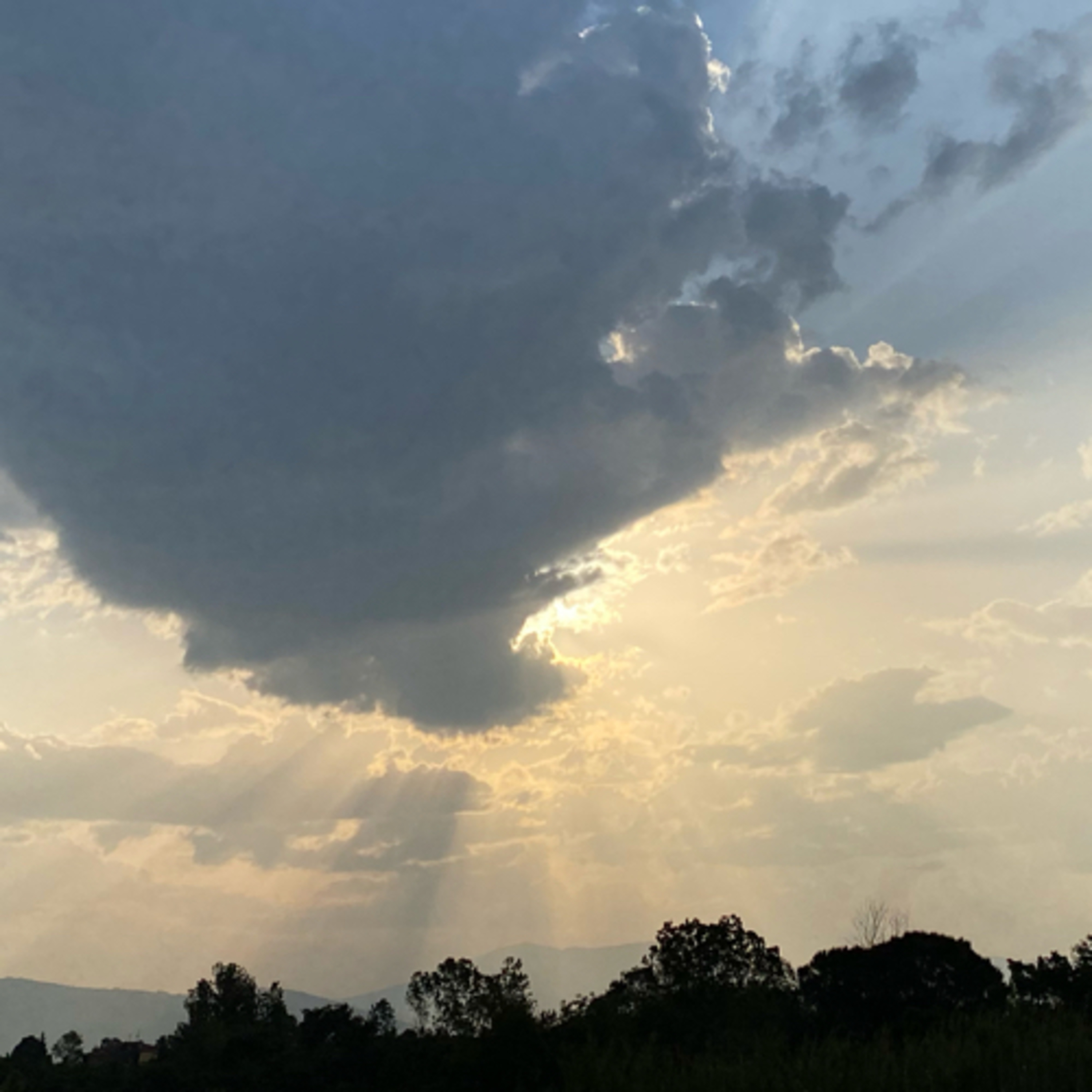Vita in te ci credo