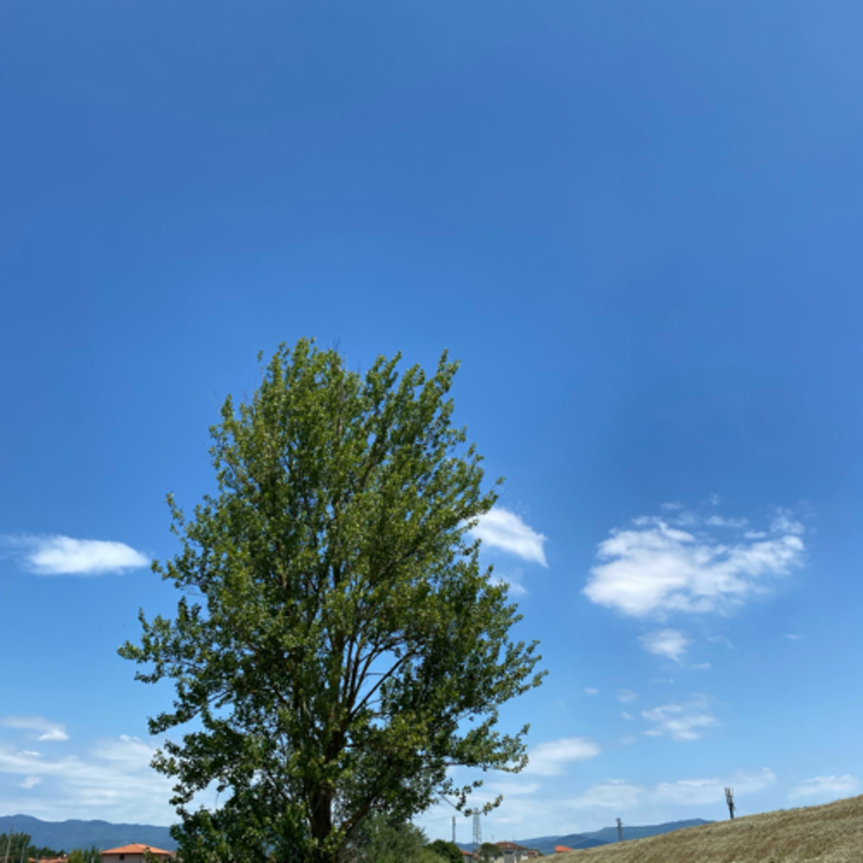 Vita in te ci credo