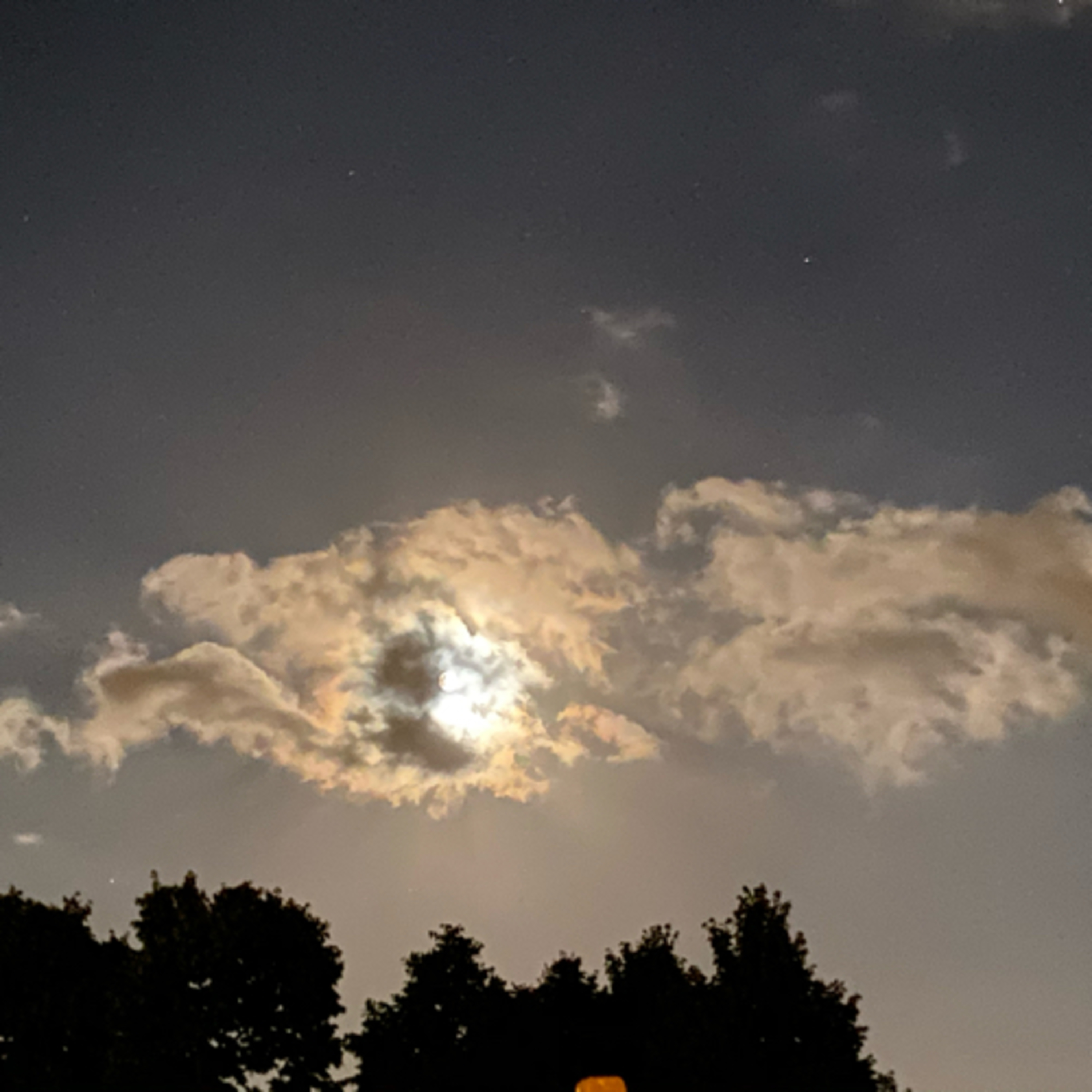 Vita in te ci credo