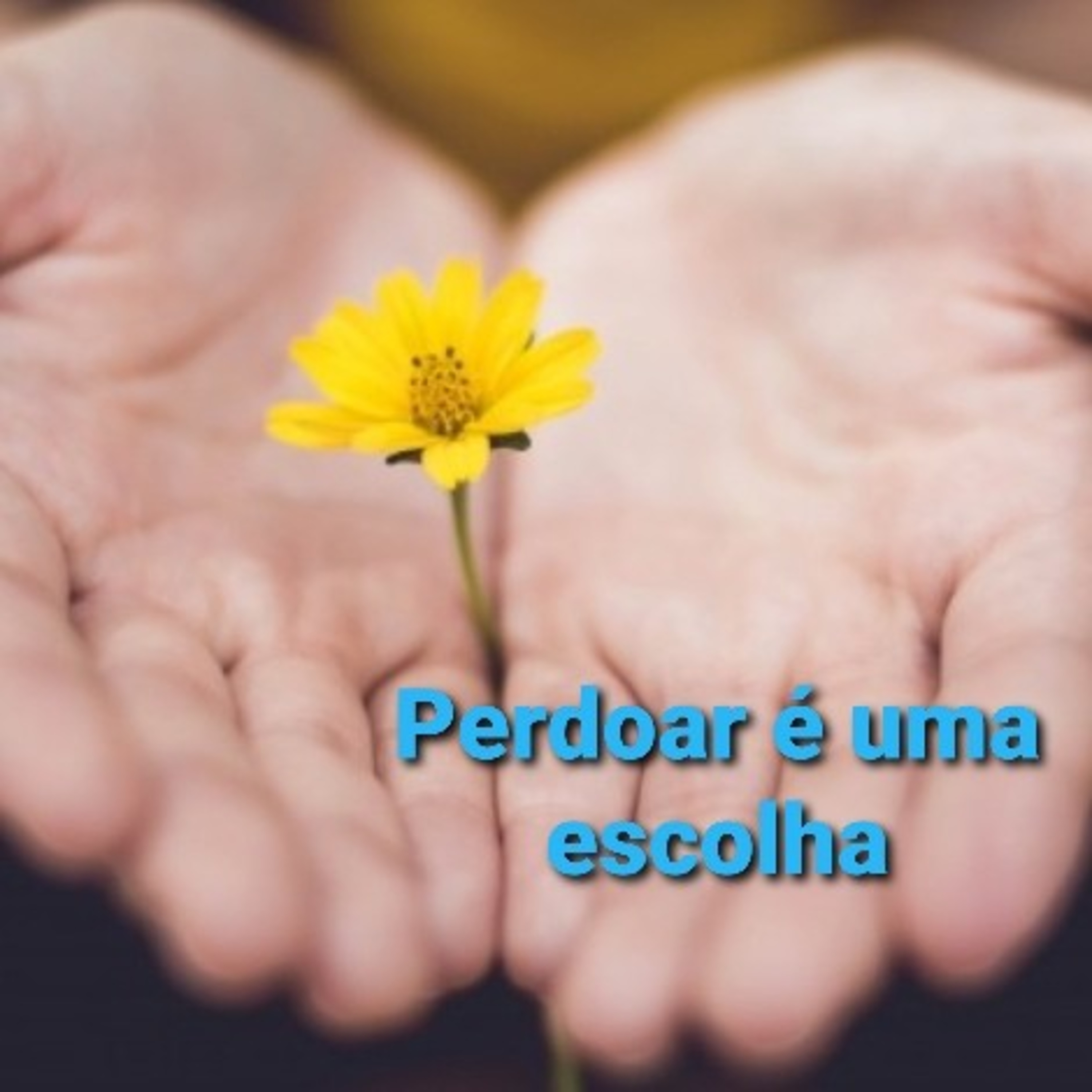 JORNADA DO CONHECIMENTO