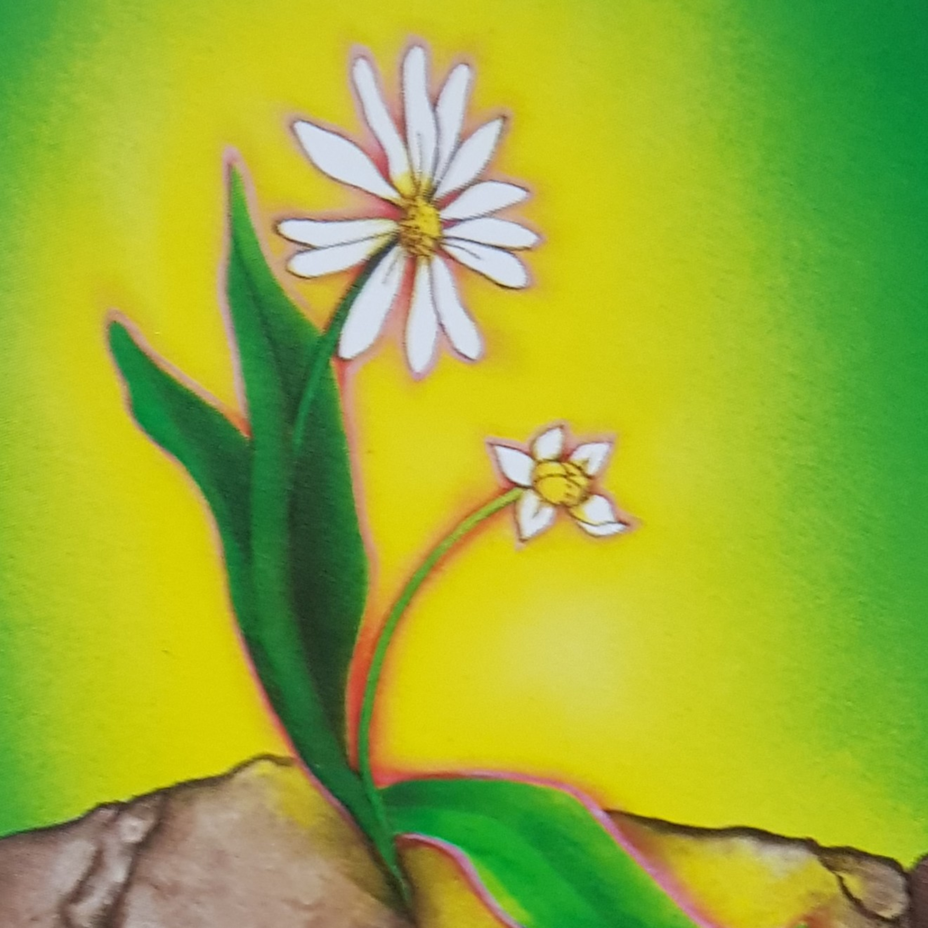 JORNADA DO CONHECIMENTO