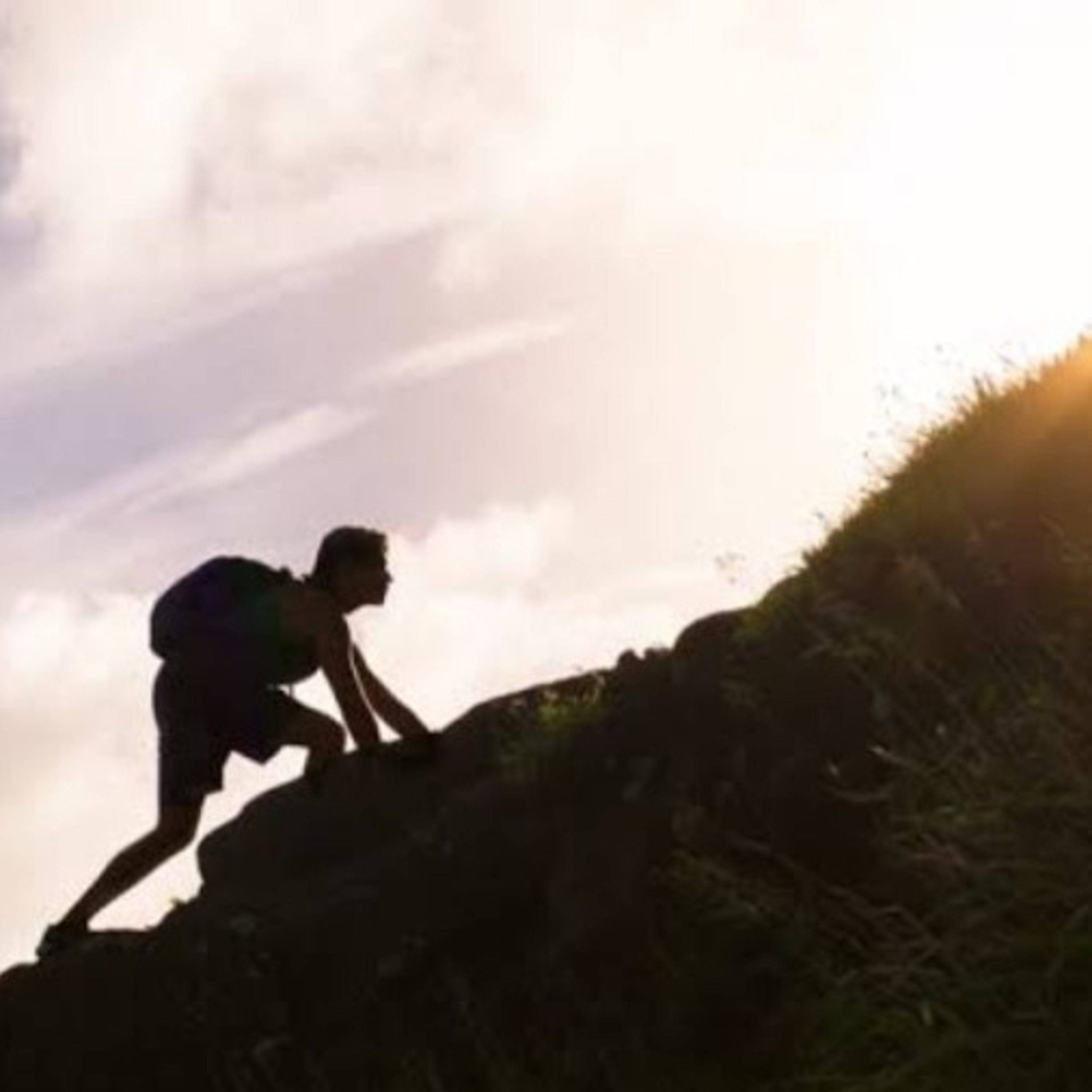 JORNADA DO CONHECIMENTO
