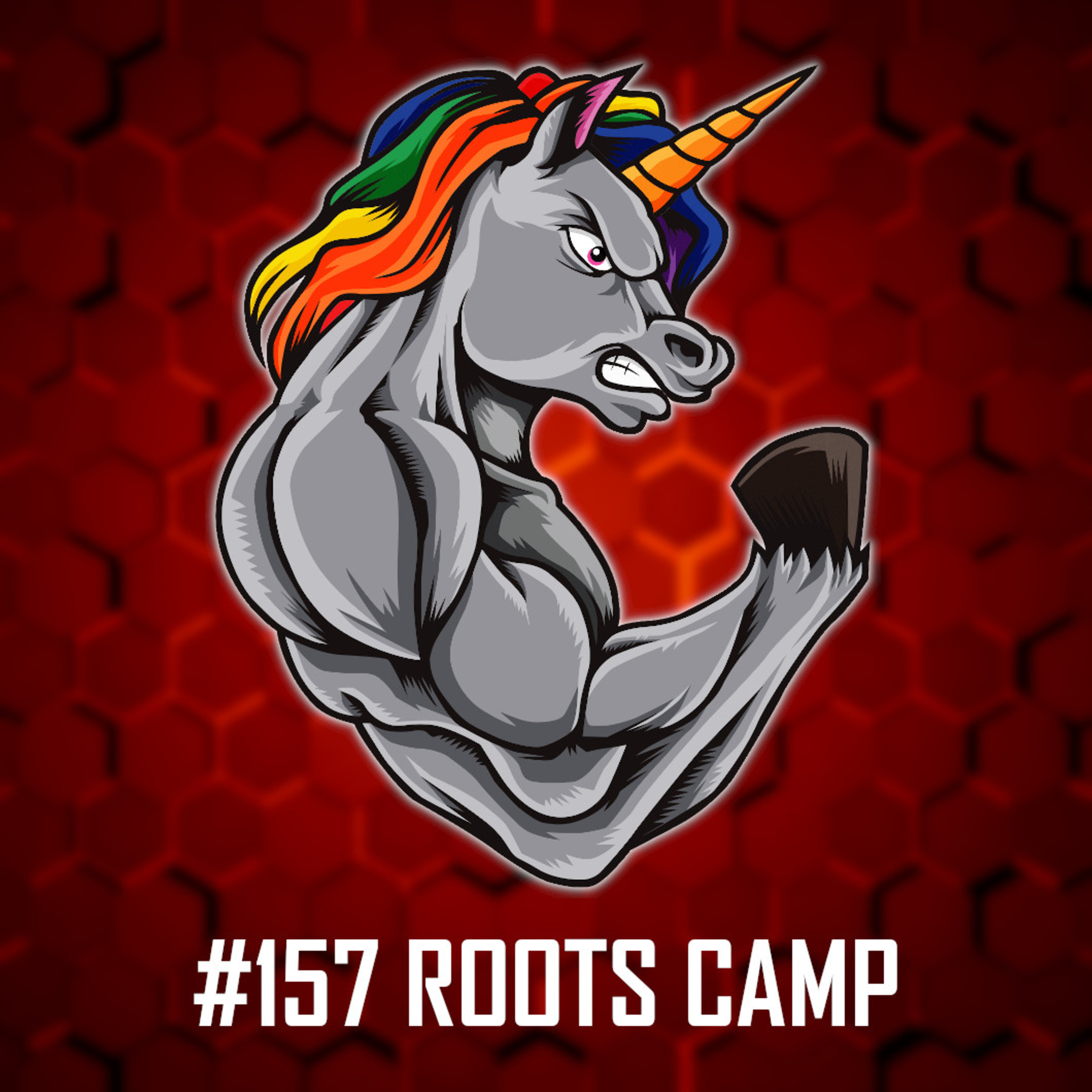 #157: ROOTS CAMP - Zpátky ke kořenům CrossFitu, Čím jsou tyto kempy speciální? Co je v plánu na rok 2023? Zákulisní informace a mnohem více! episode artwork