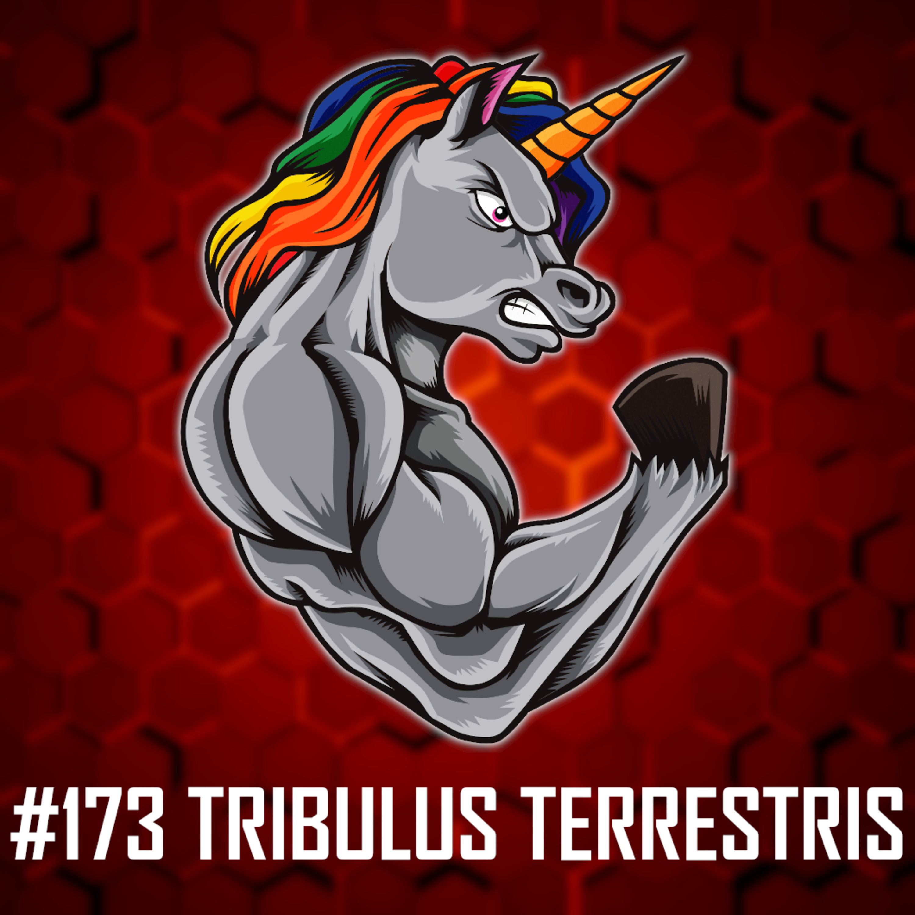 #173: Tribulus Terrestris - Zvyšuje testosteron? Vliv na sexuální drive, energii a mnohem více! Efekty dle vědeckých studií episode artwork