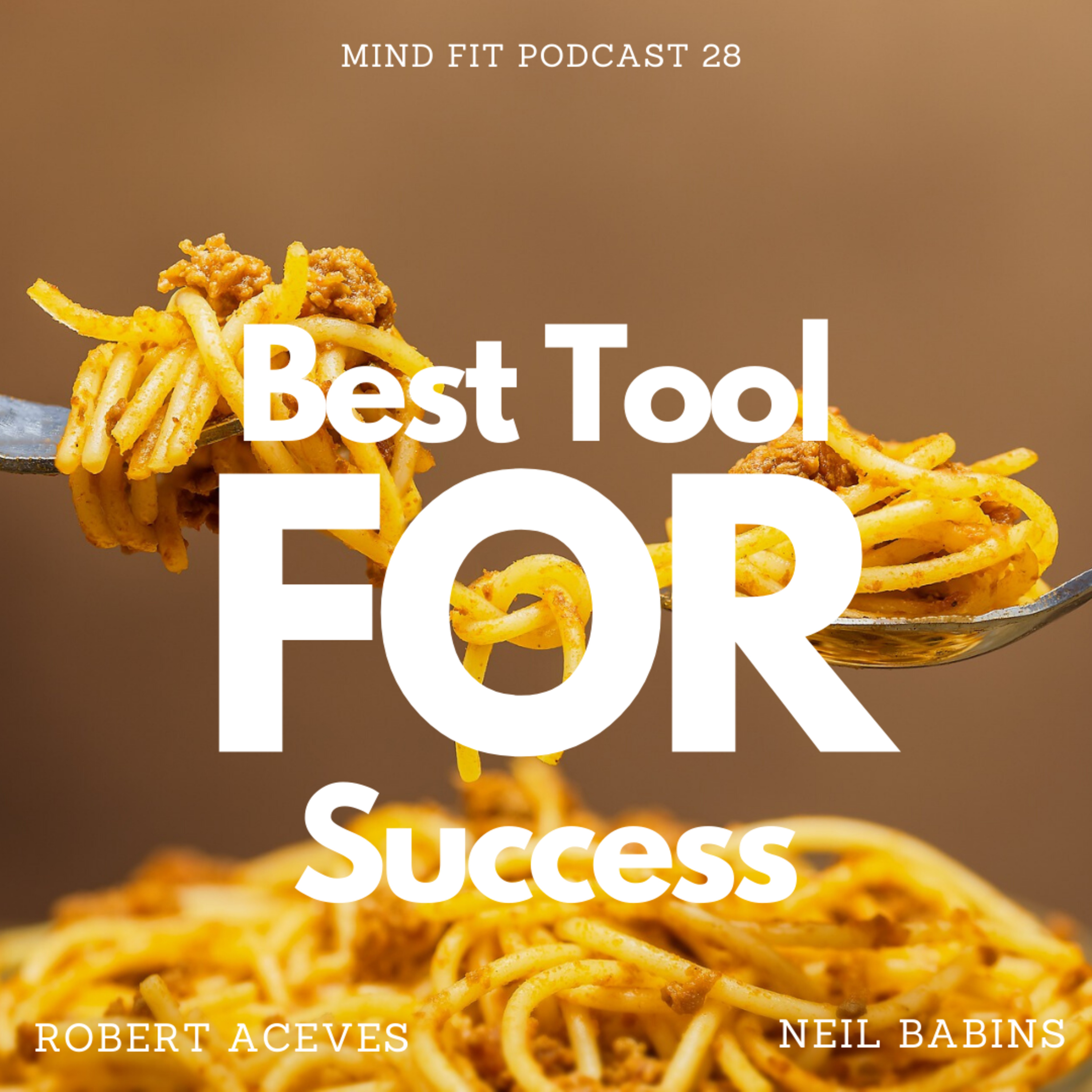 The Best Tool for Success in Life episode artwork
