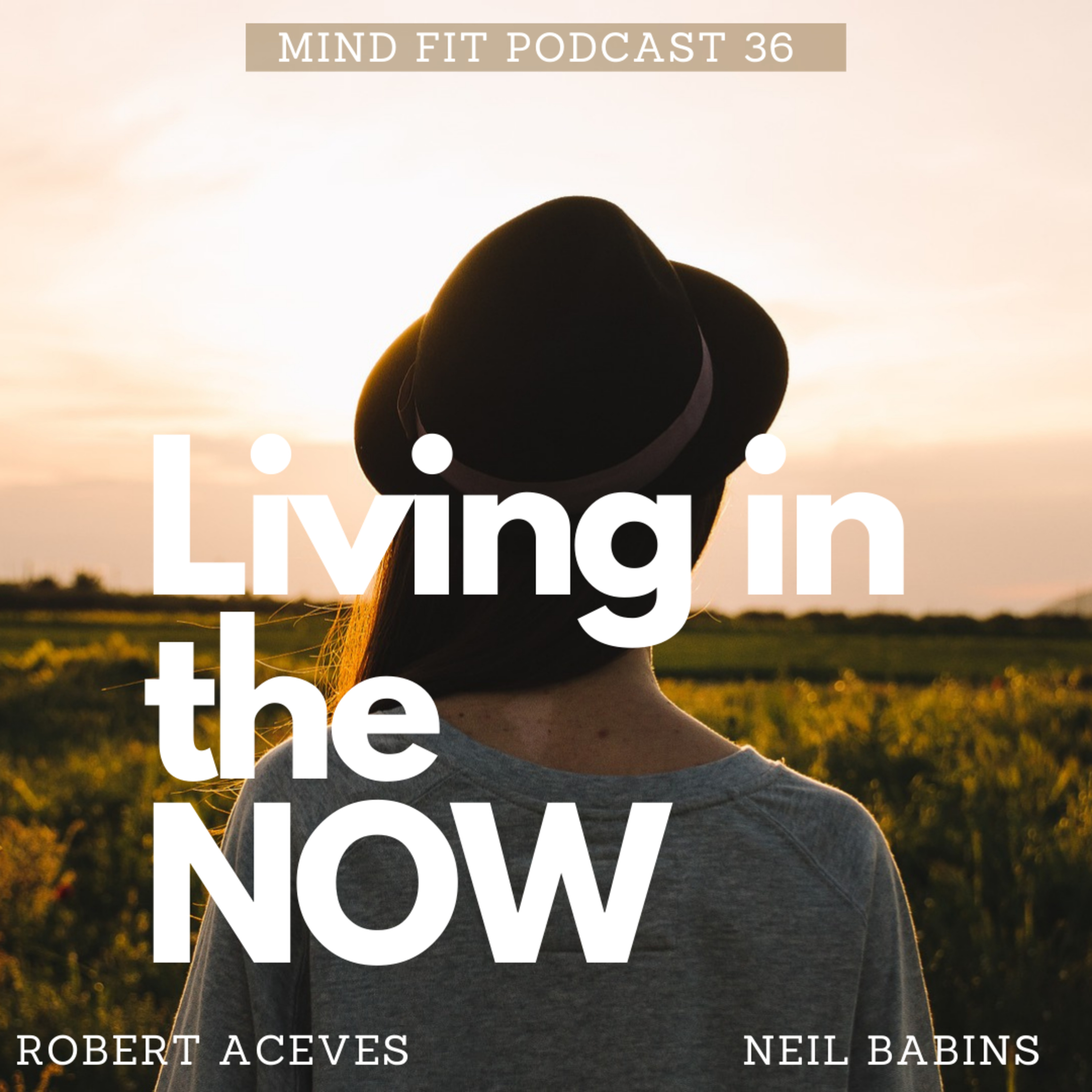 Living in the NOW episode artwork
