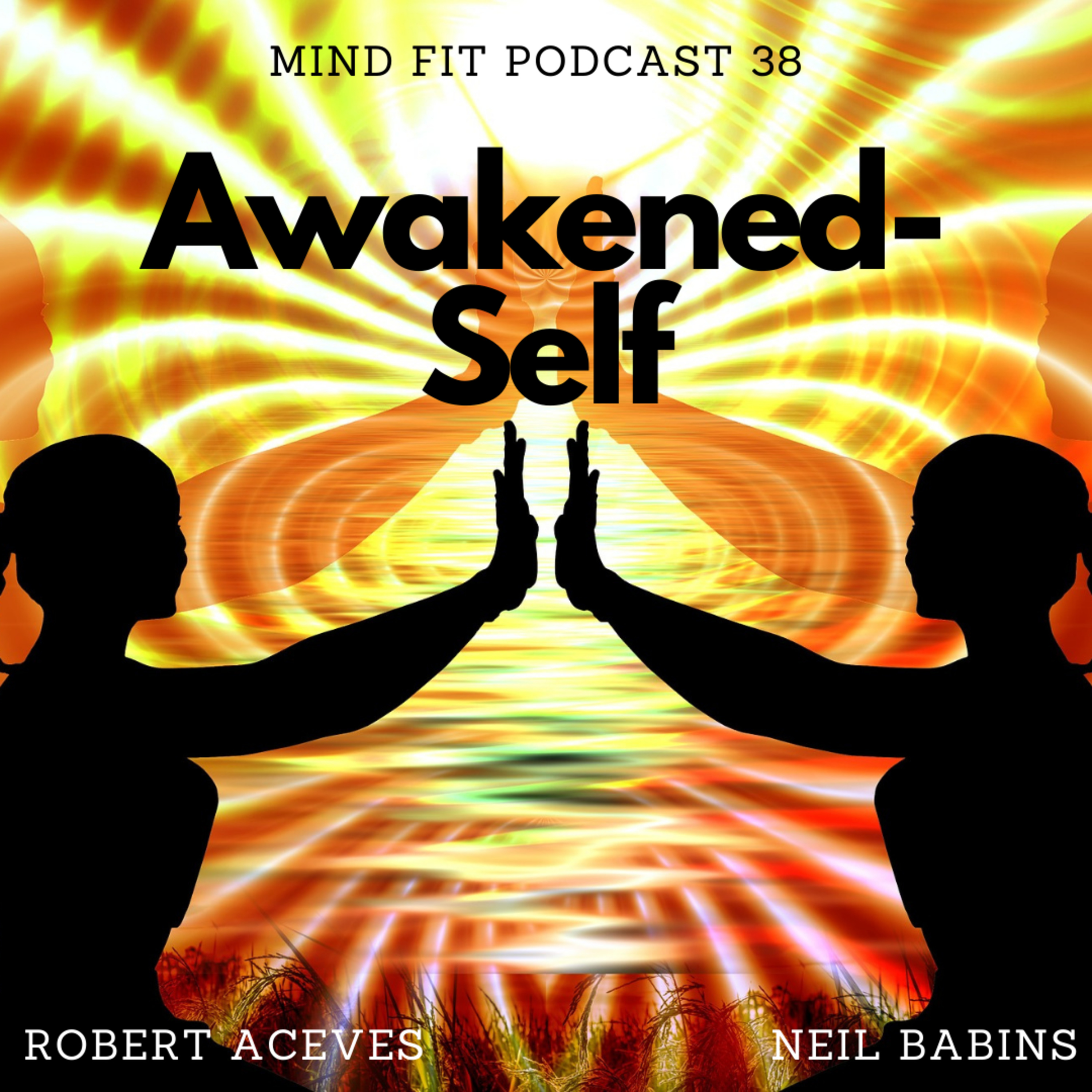 Awakened Self Mind Fit Podcast 38 episode artwork
