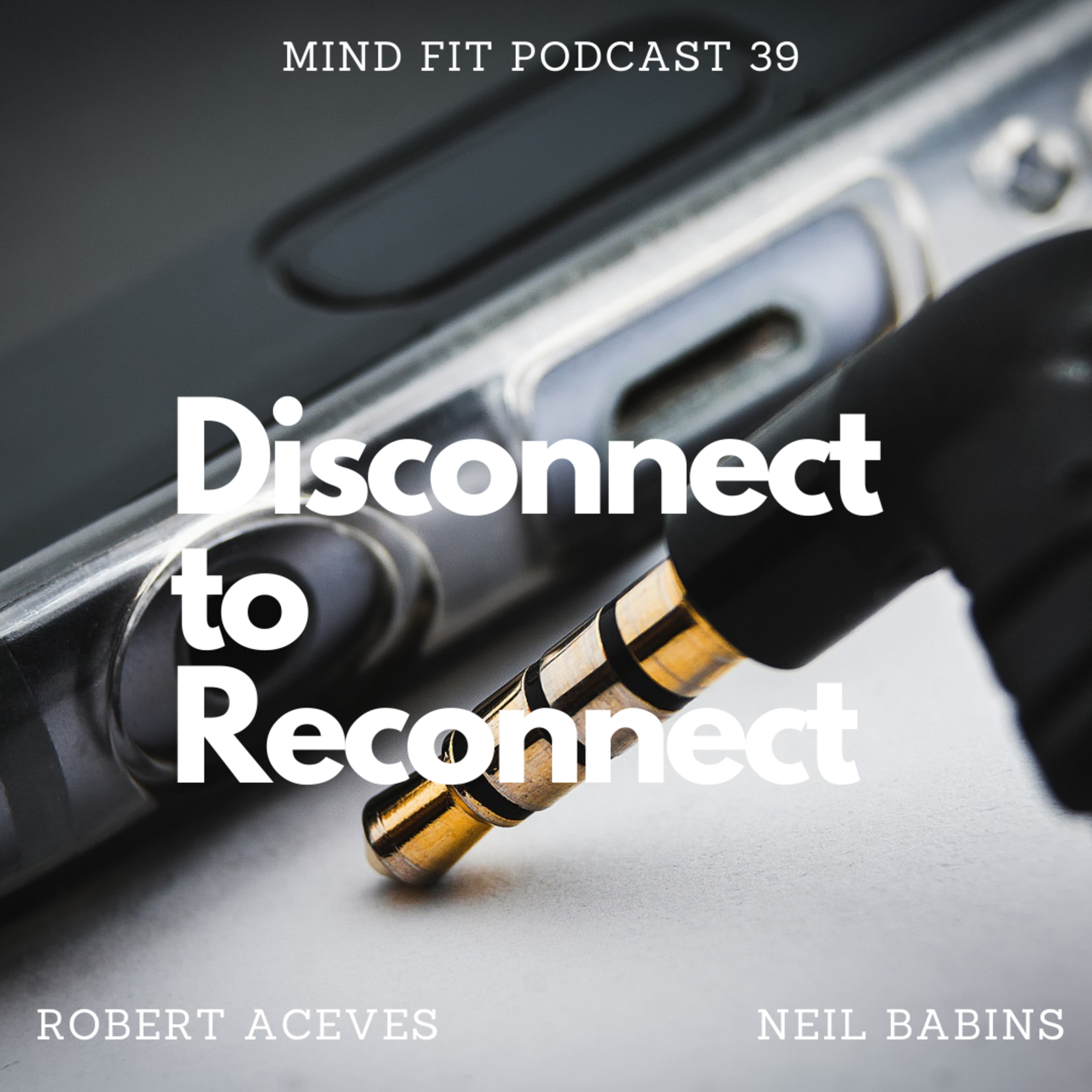 Disconnect to Reconnect Mind Fit Podcast 39 episode artwork