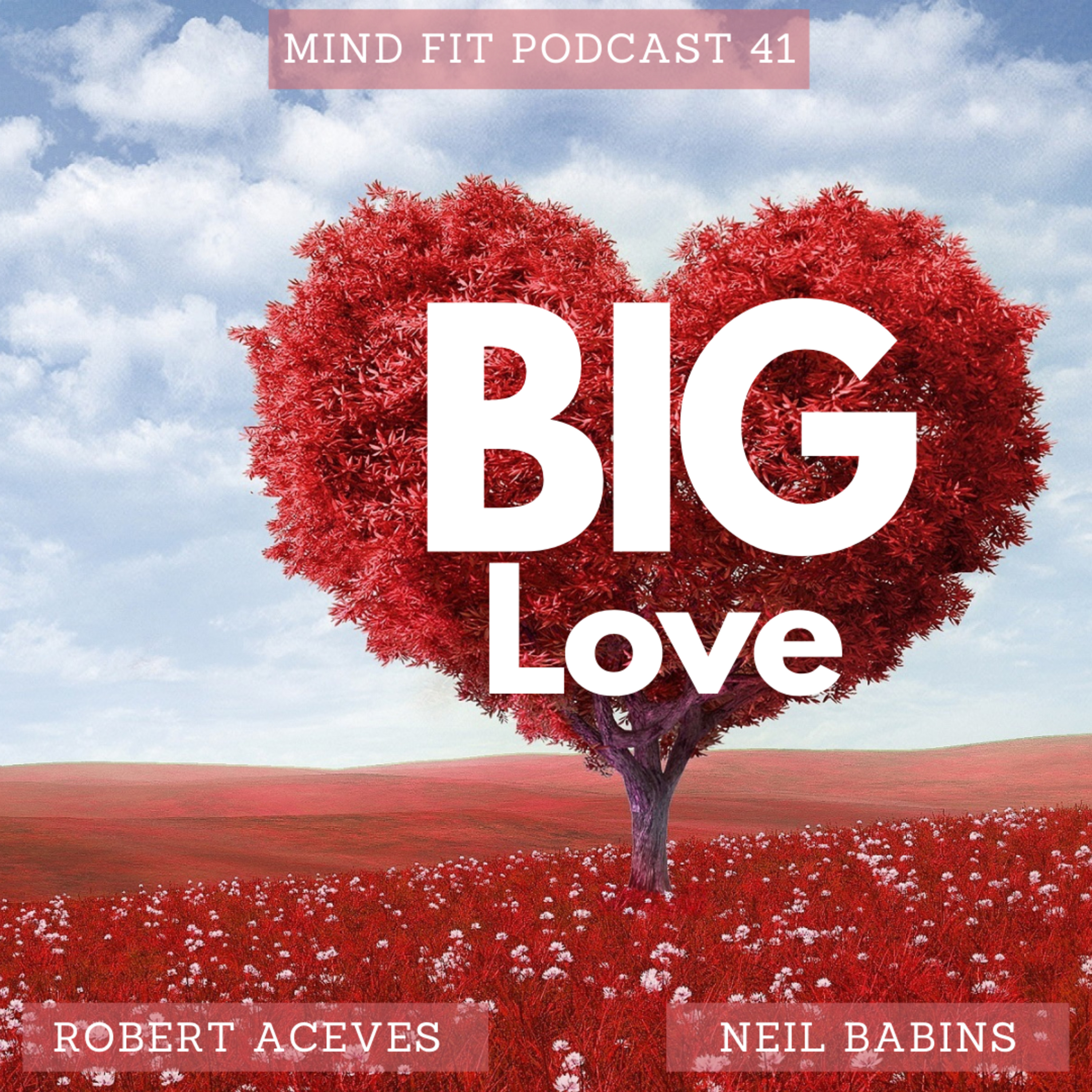 Big Love Mind Fit Podcast 41 episode artwork