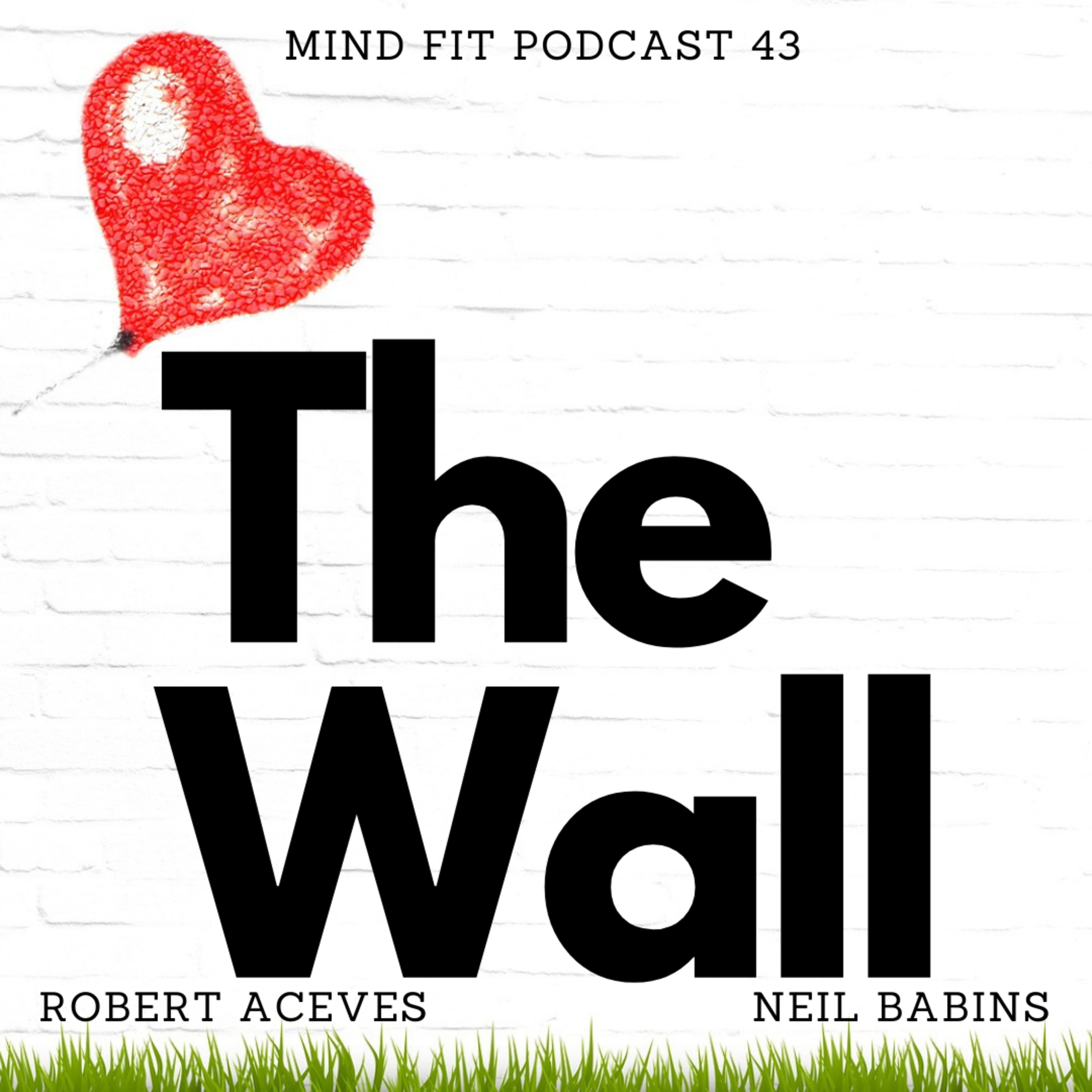The Wall Mind Fit Podcast S1 E43 episode artwork