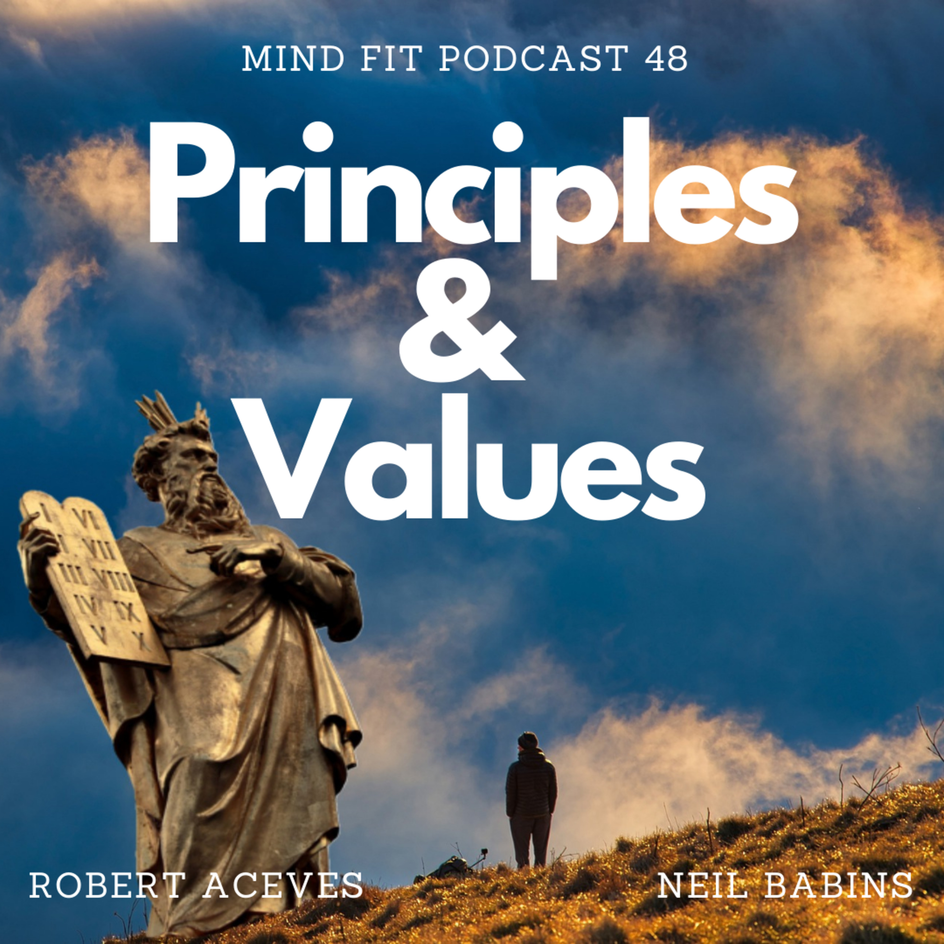 Principles & Values || Mind Fit Podcast 48 episode artwork