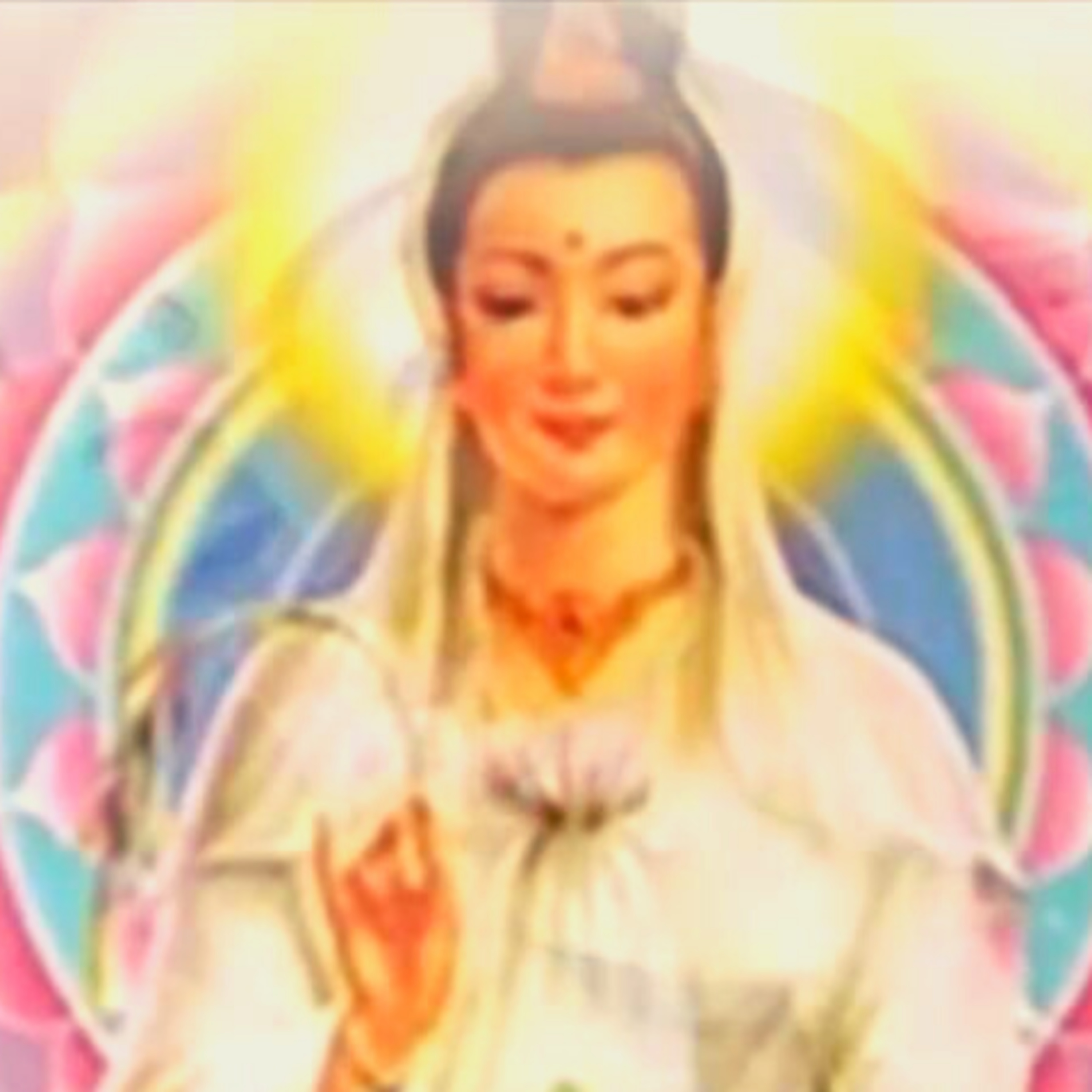 Meditações Isabel Otto