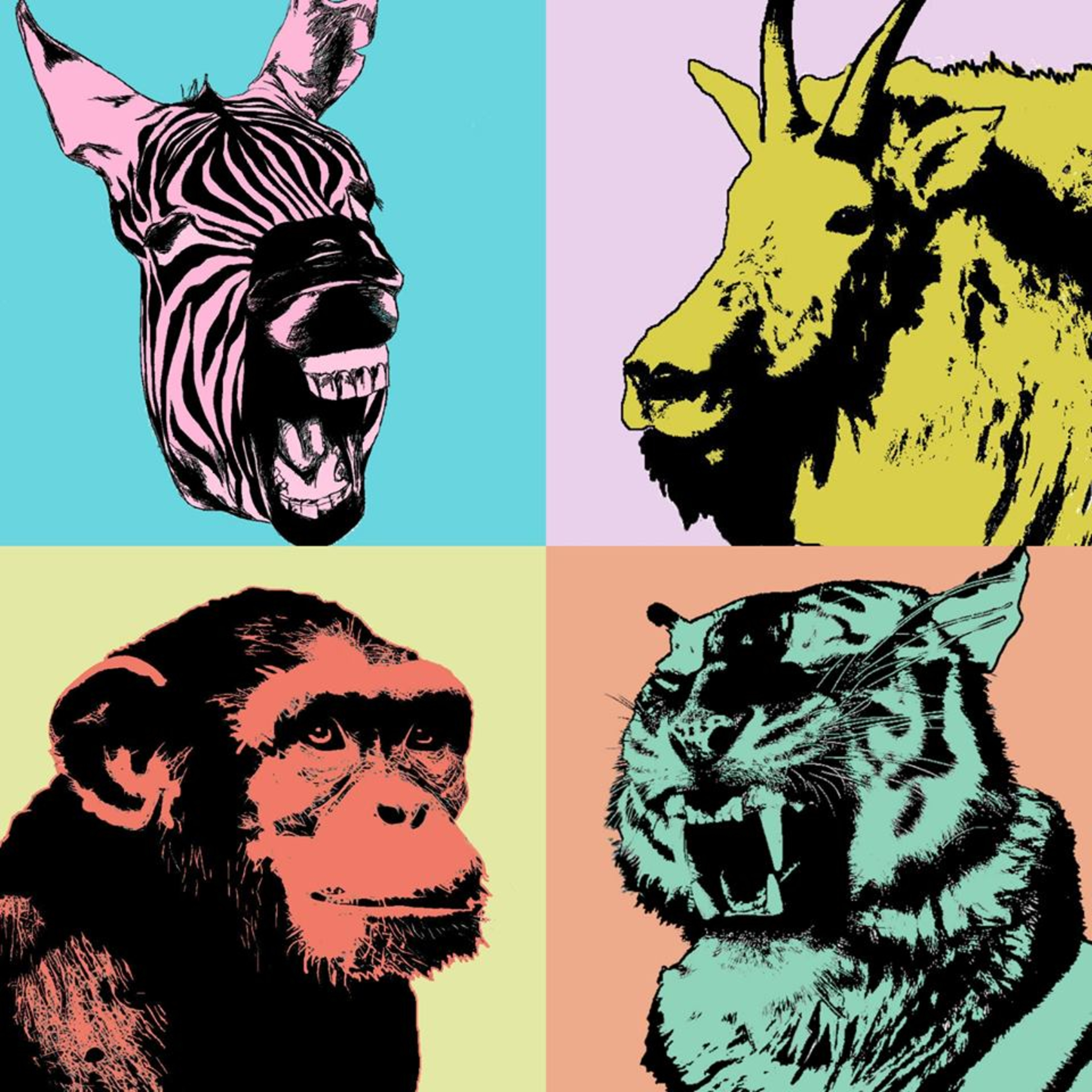Zoo Box, Episode 3 - Masters of Something episode artwork