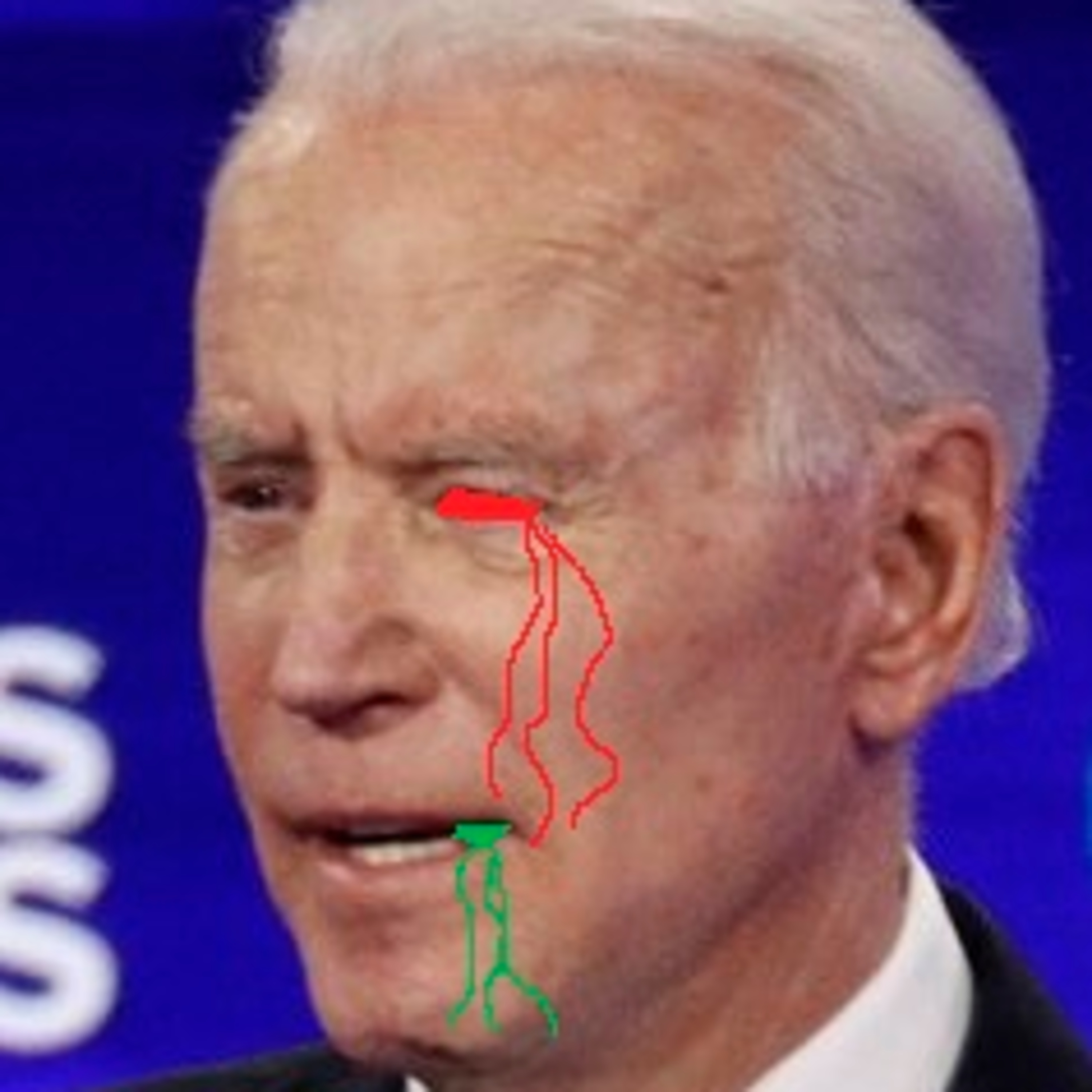 Zoo Box Watches (Earballs Edition/Too Hot for YouTube) - The South Carolina Democratic Debate (02/25/2020) episode artwork