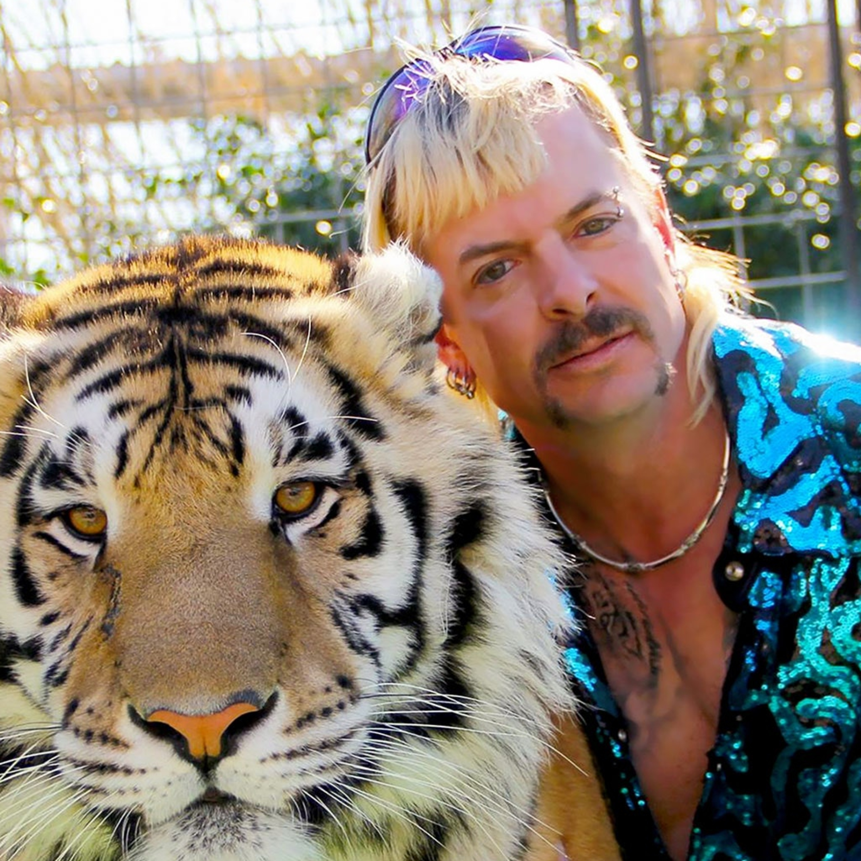 Zoo Box Goes to the Movies - Tiger King Review and Discussion episode artwork