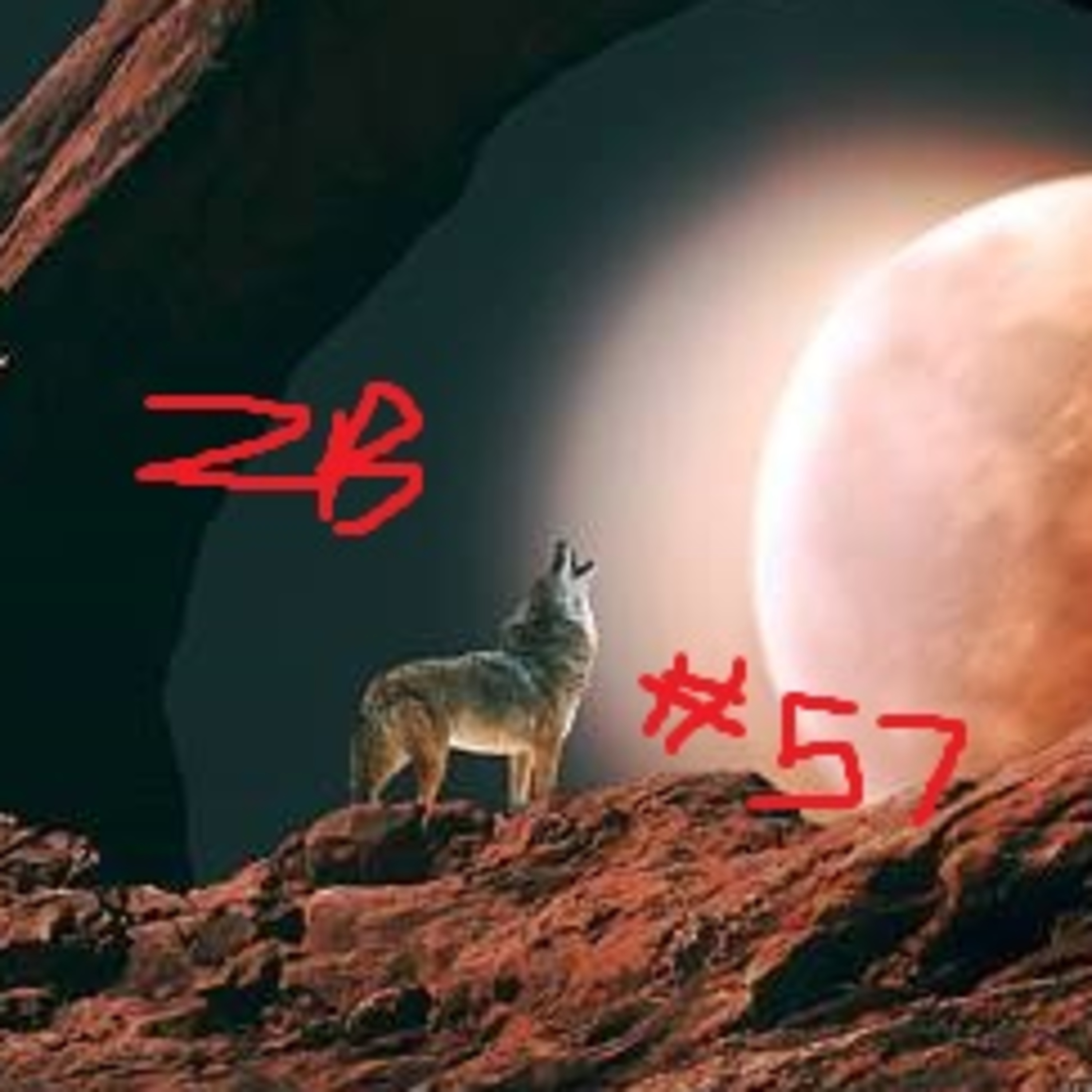 Zoo Box, Episode 57 - Coyotes Howling at the Memories Behind a Fake Moon episode artwork