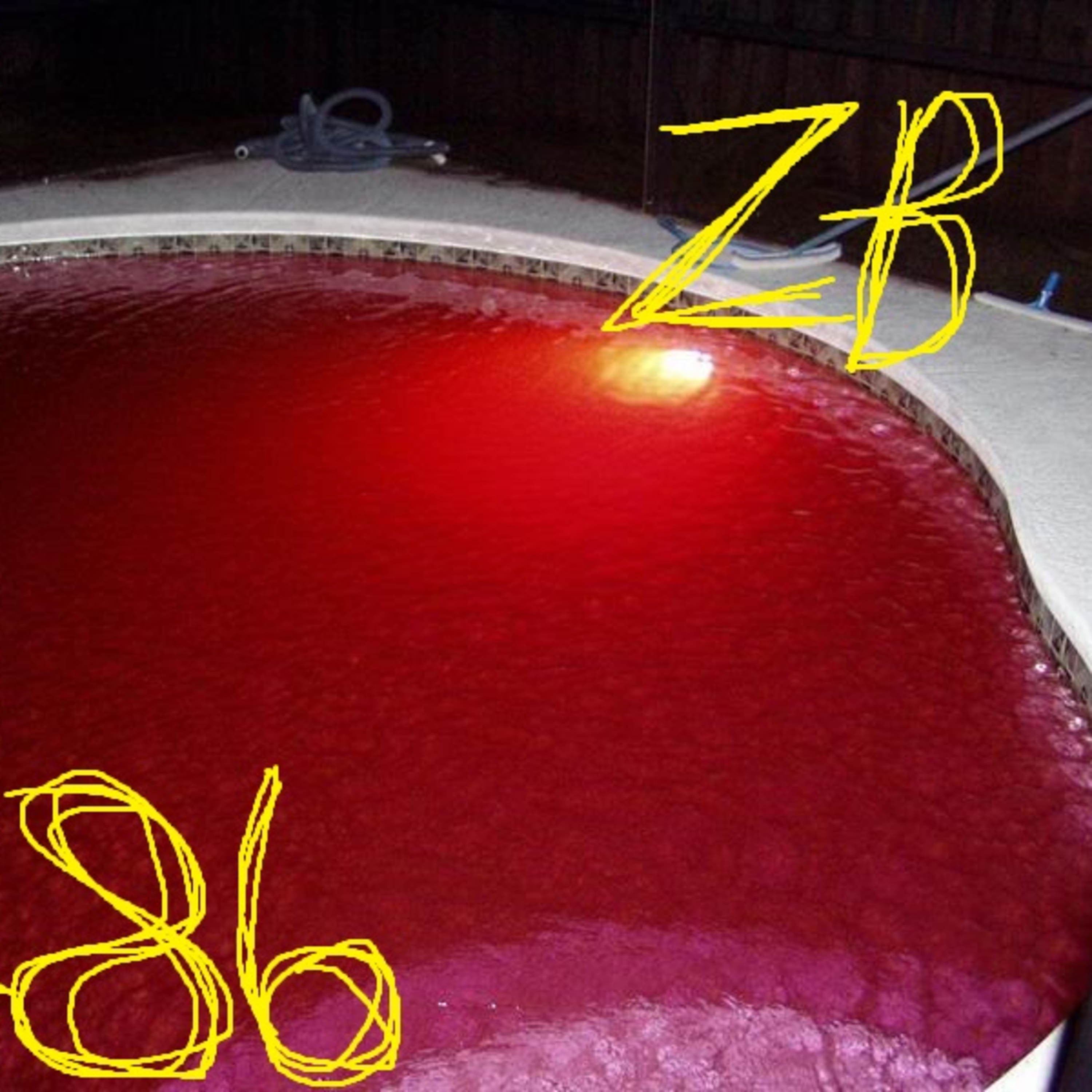 Zoo Box, Episode 86 - The Rising Cost of Pool Maintenance Due to Market Forces episode artwork