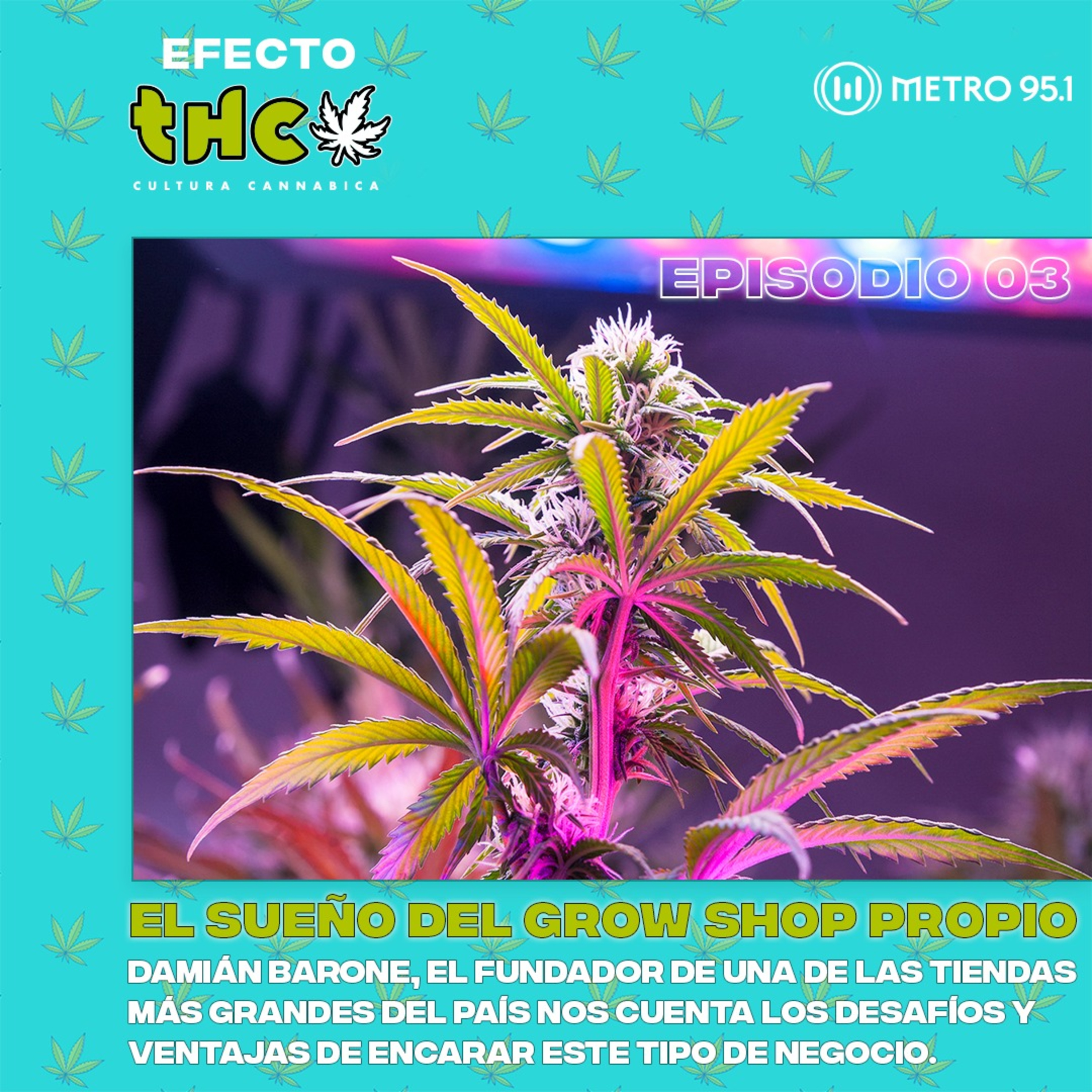 El sueño del grow shop propio | Damián Barone