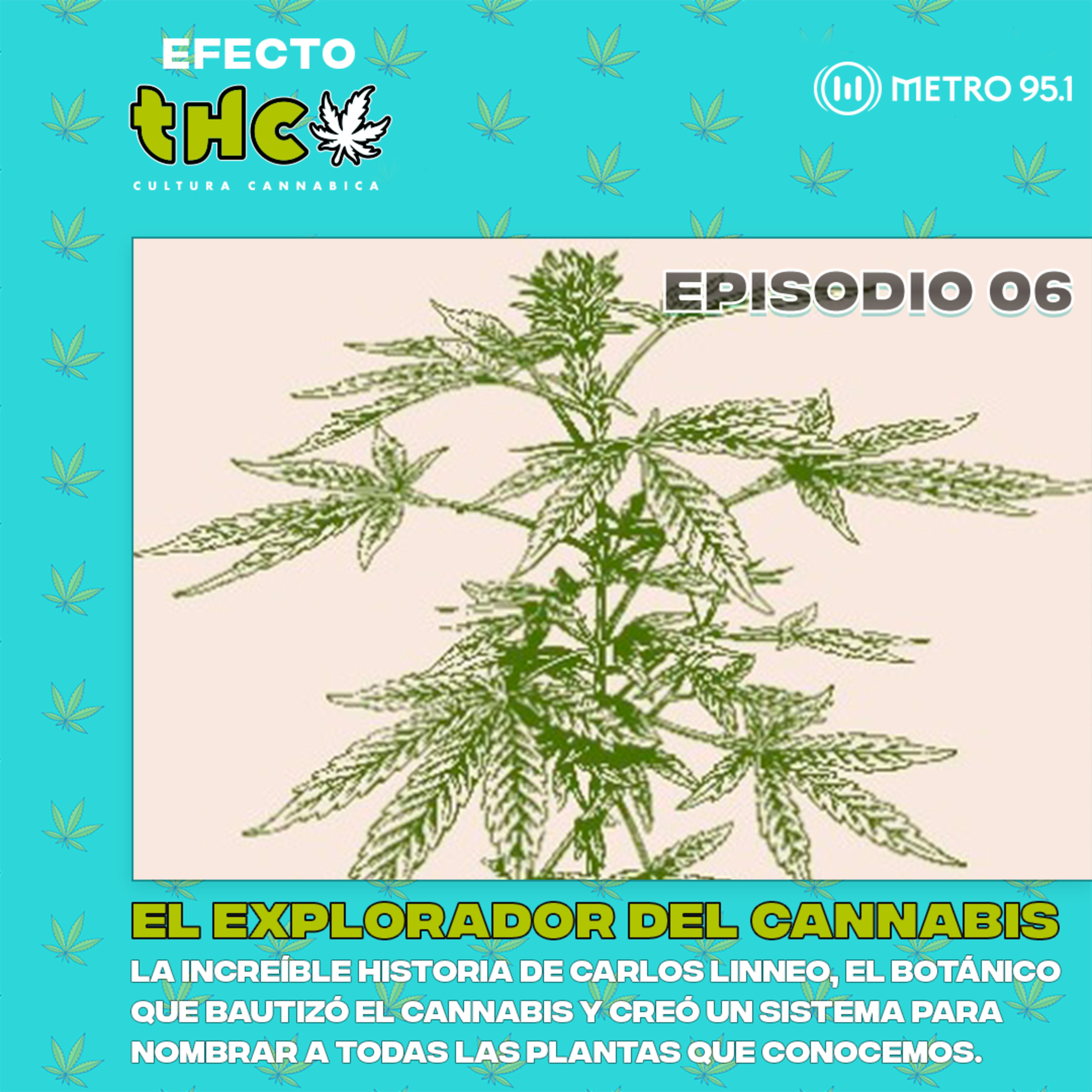 La increíble historia de Carlos Linneo, el explorador del Cannabis