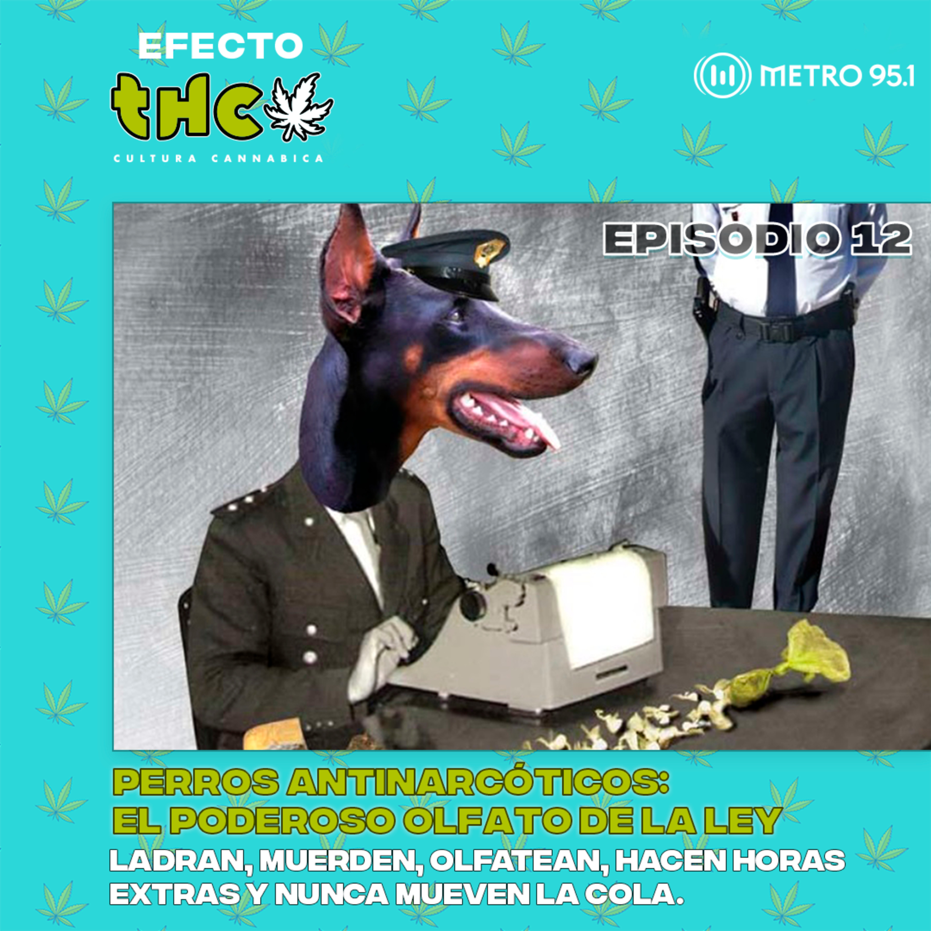 Perros antinarcóticos: el poderoso olfato de la ley