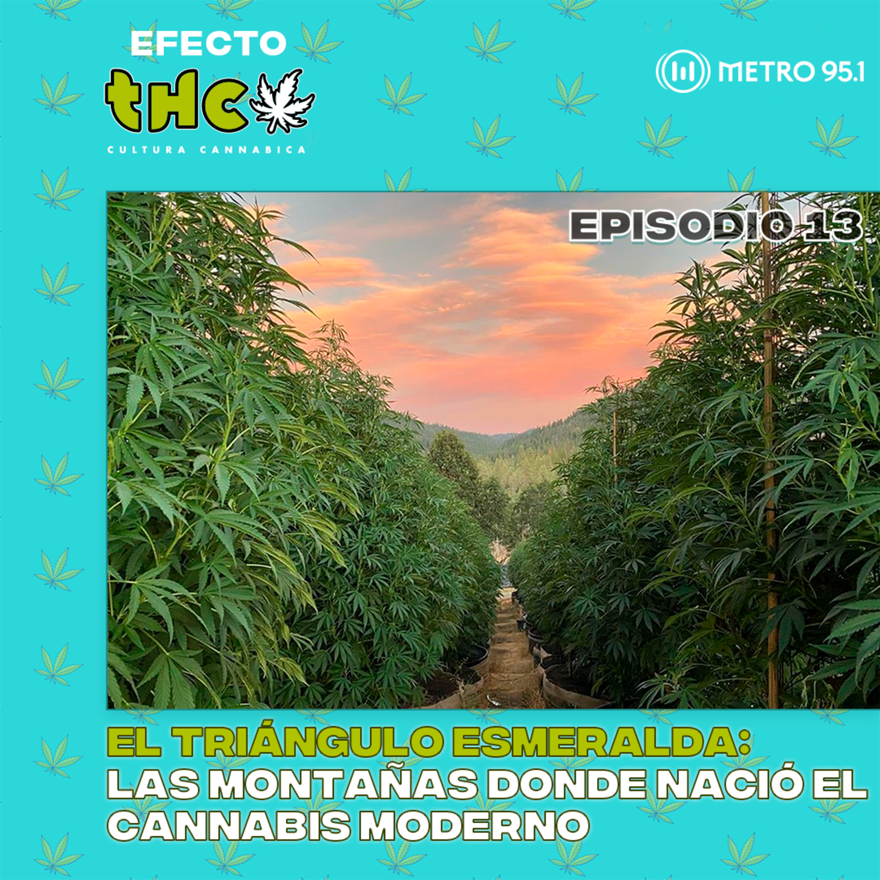 El Triángulo Esmeralda: las montañas donde nació el cannabis moderno