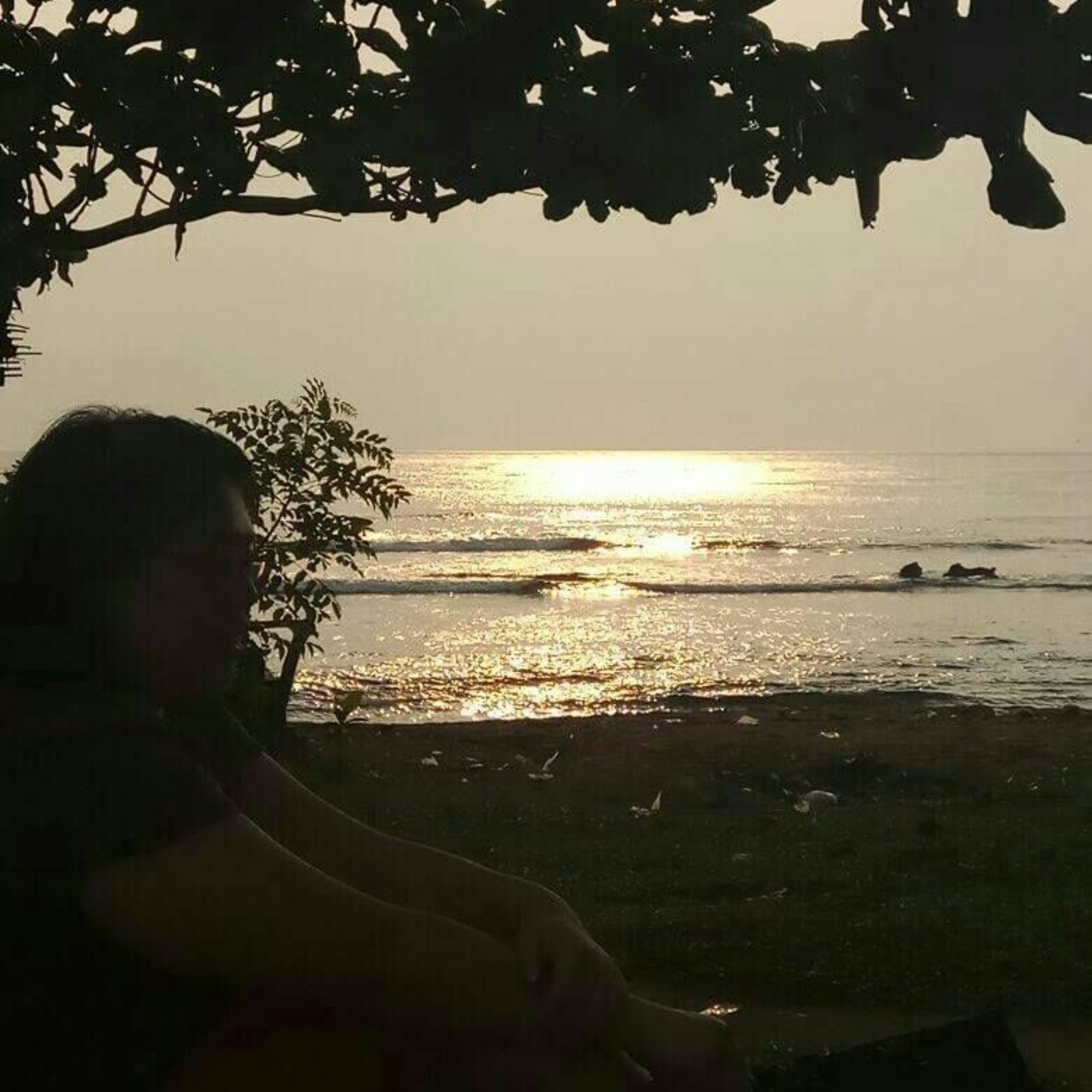 Sayap Rindu