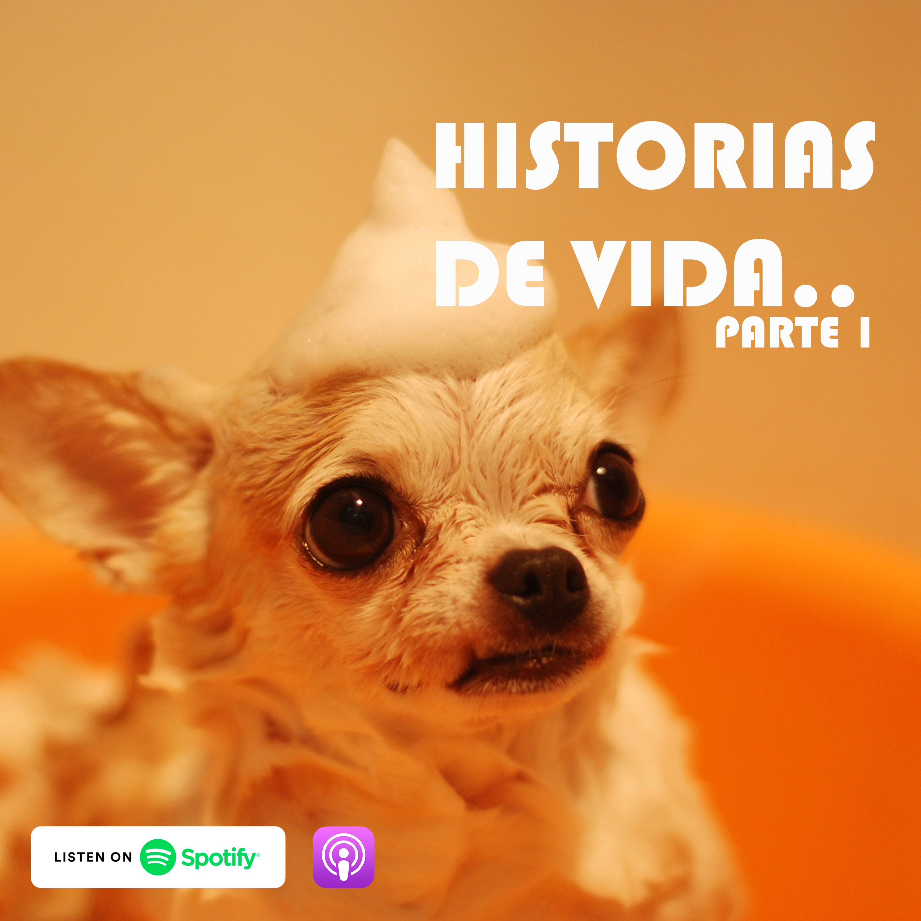 Historias de vida... episode artwork