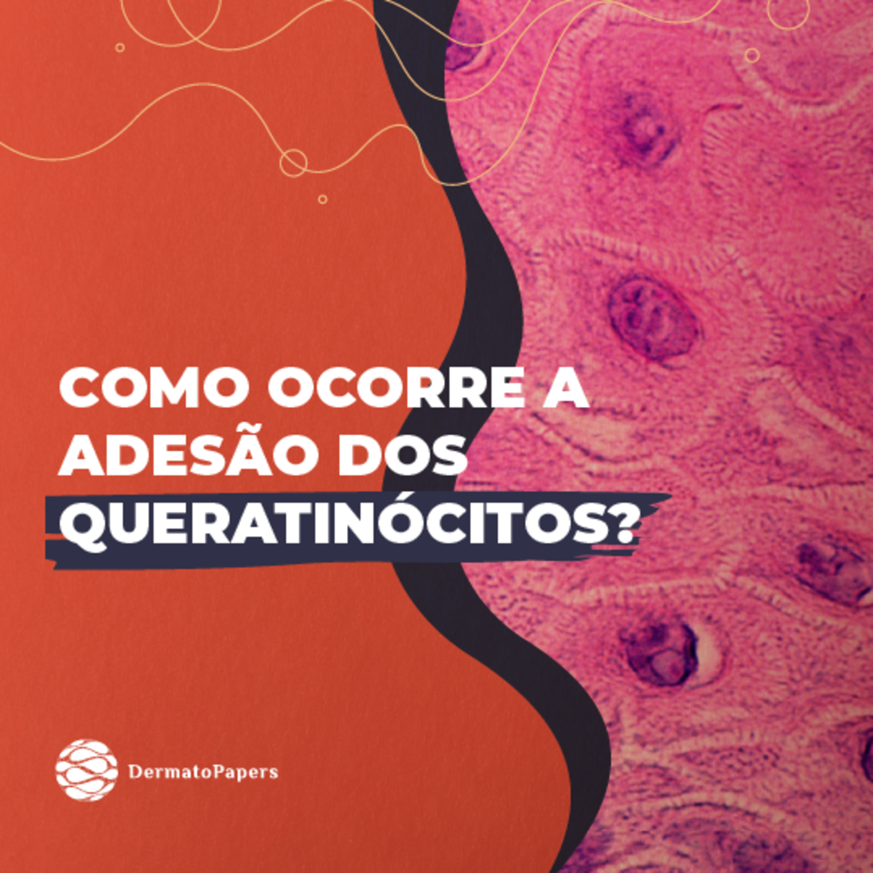 #143-Como ocorre a adesão dos queratinócitos? episode artwork