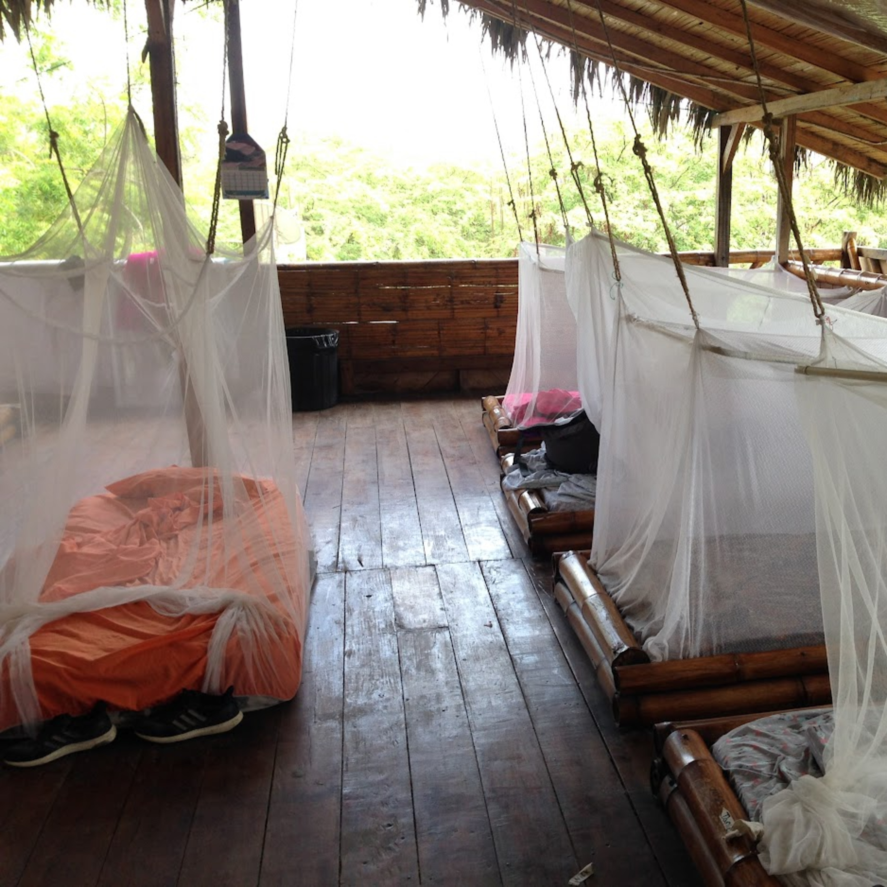 10| El Bicho en Montañita