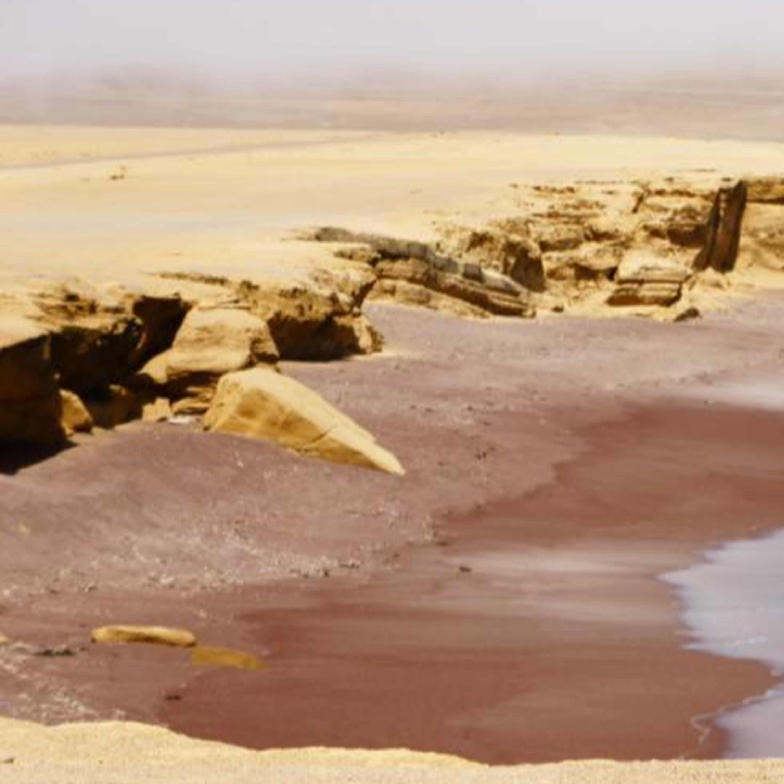 11| El Bicho en Paracas